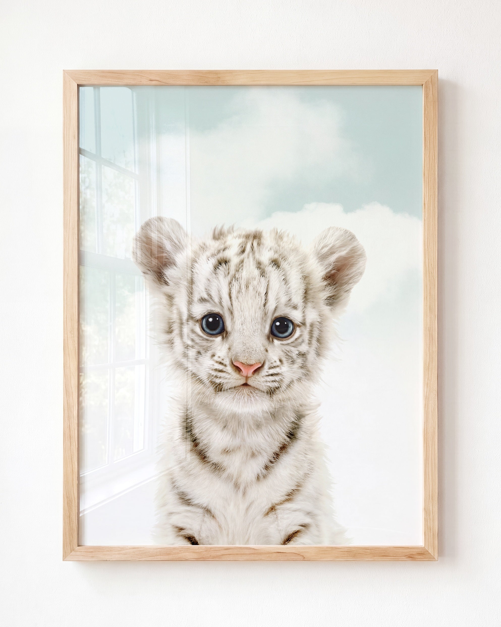Baby White Tiger