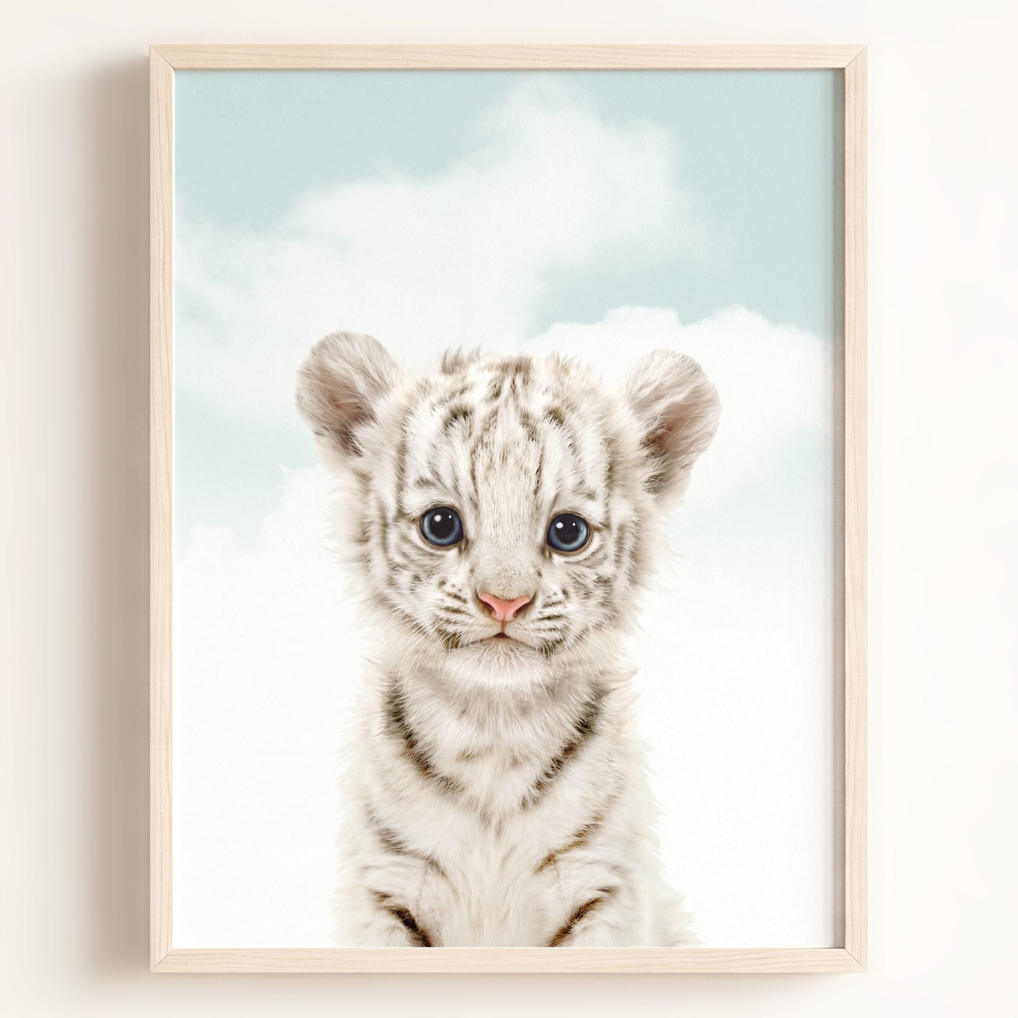 Baby White Tiger