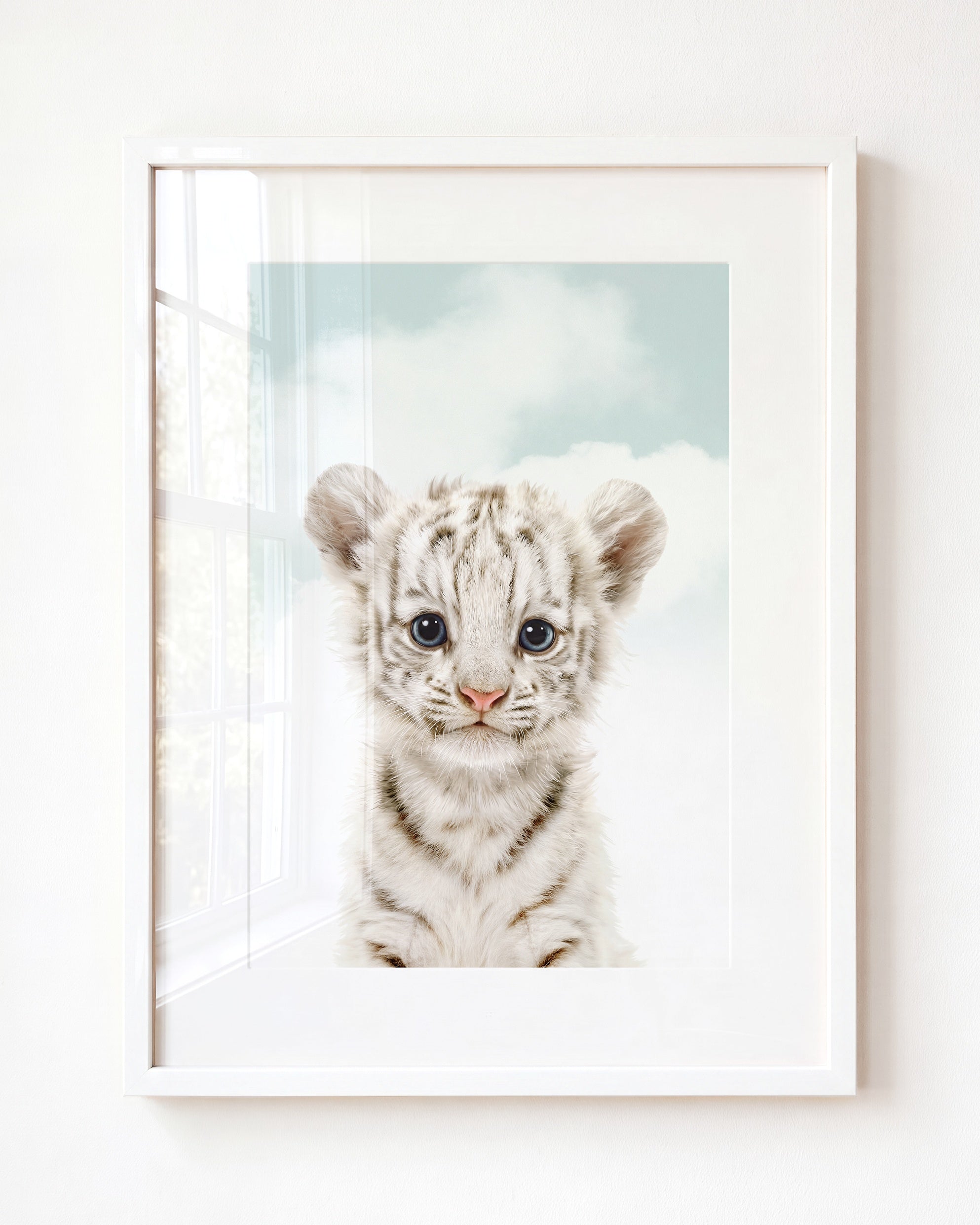 Baby White Tiger