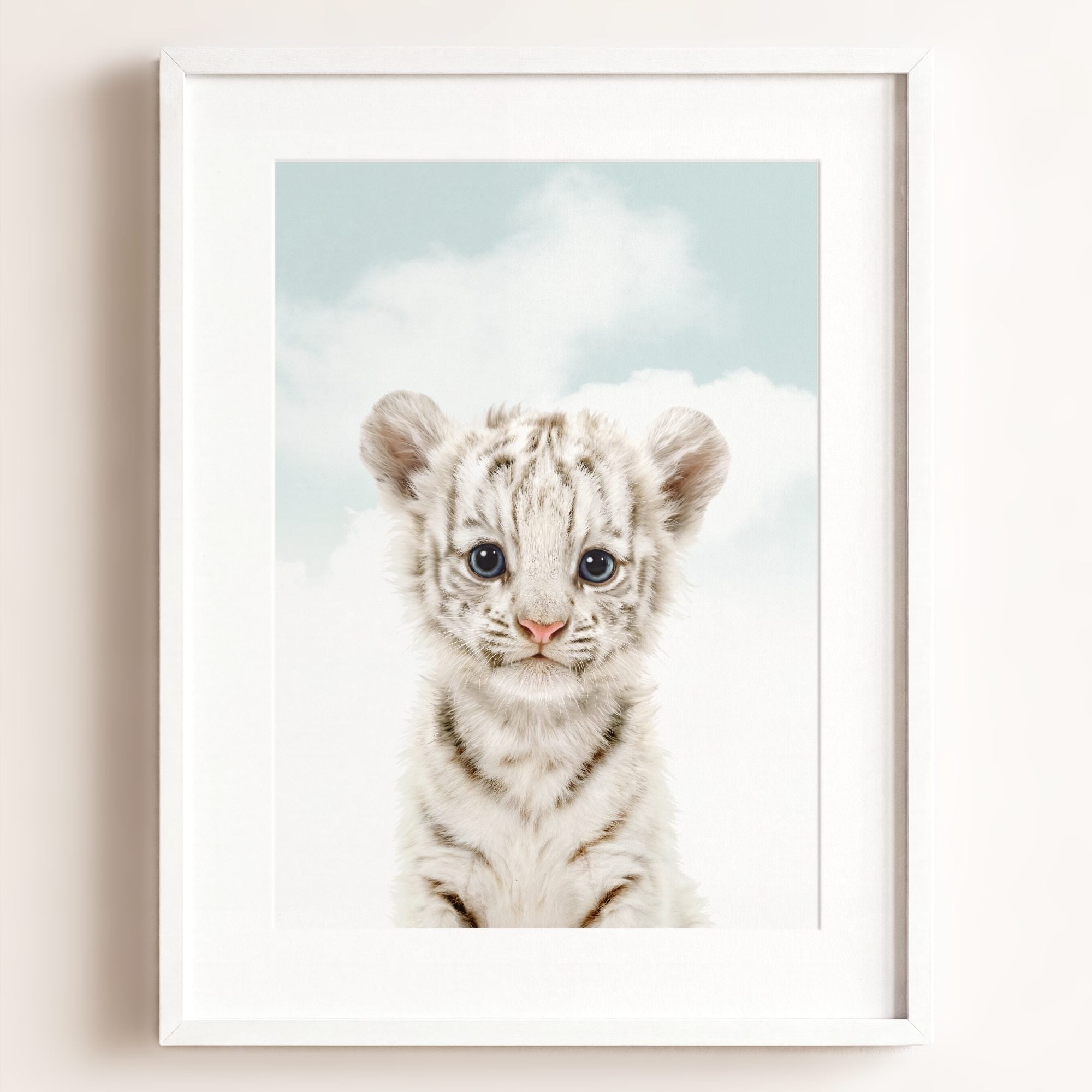 Baby White Tiger