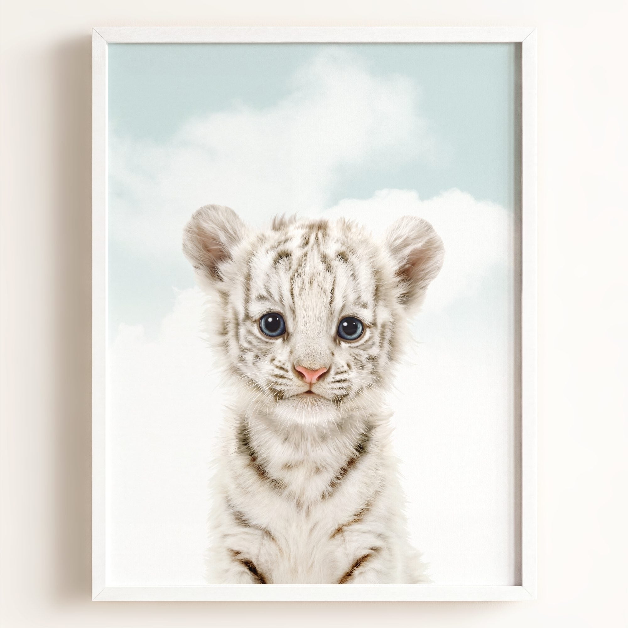 Baby White Tiger