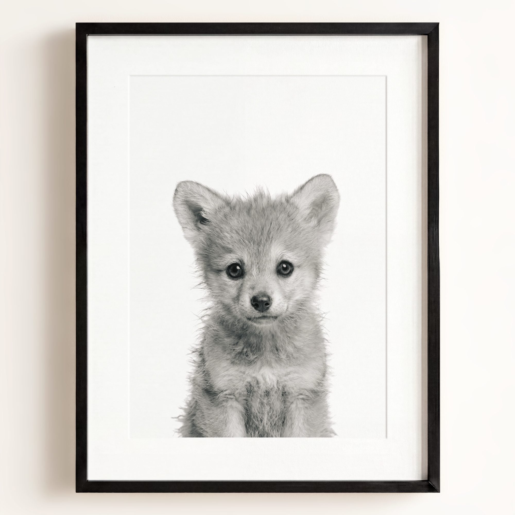Baby Wolf