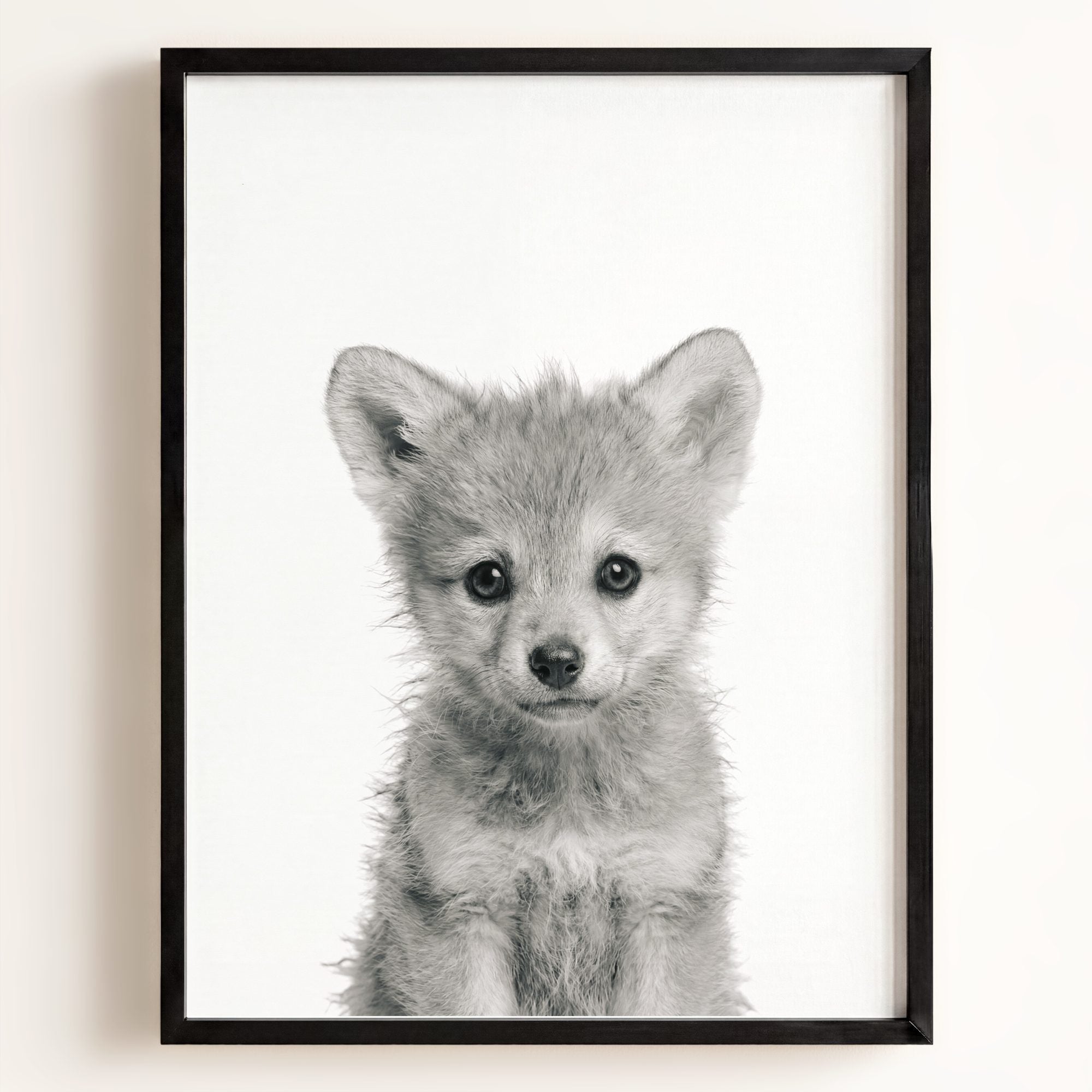 Baby Wolf