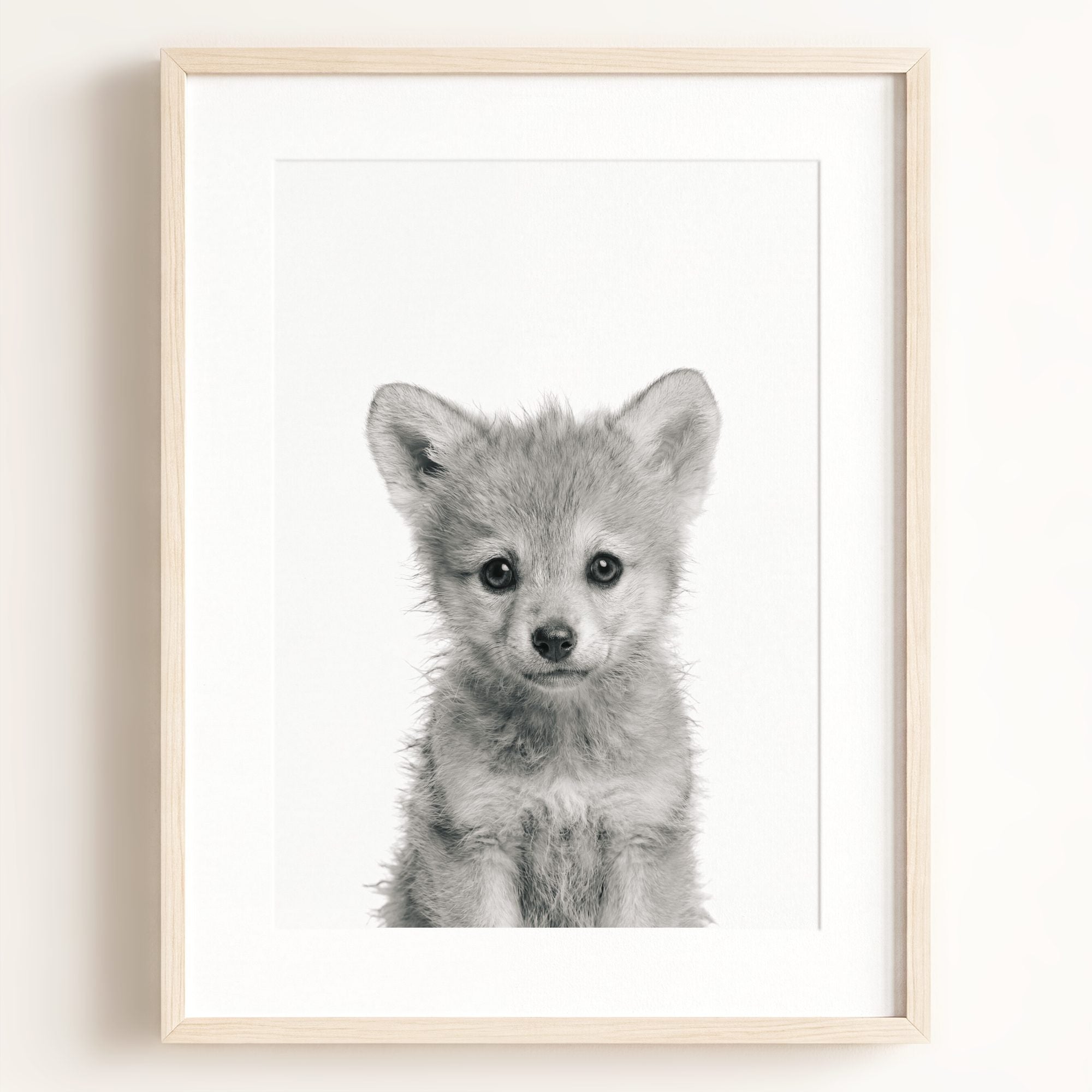 Baby Wolf