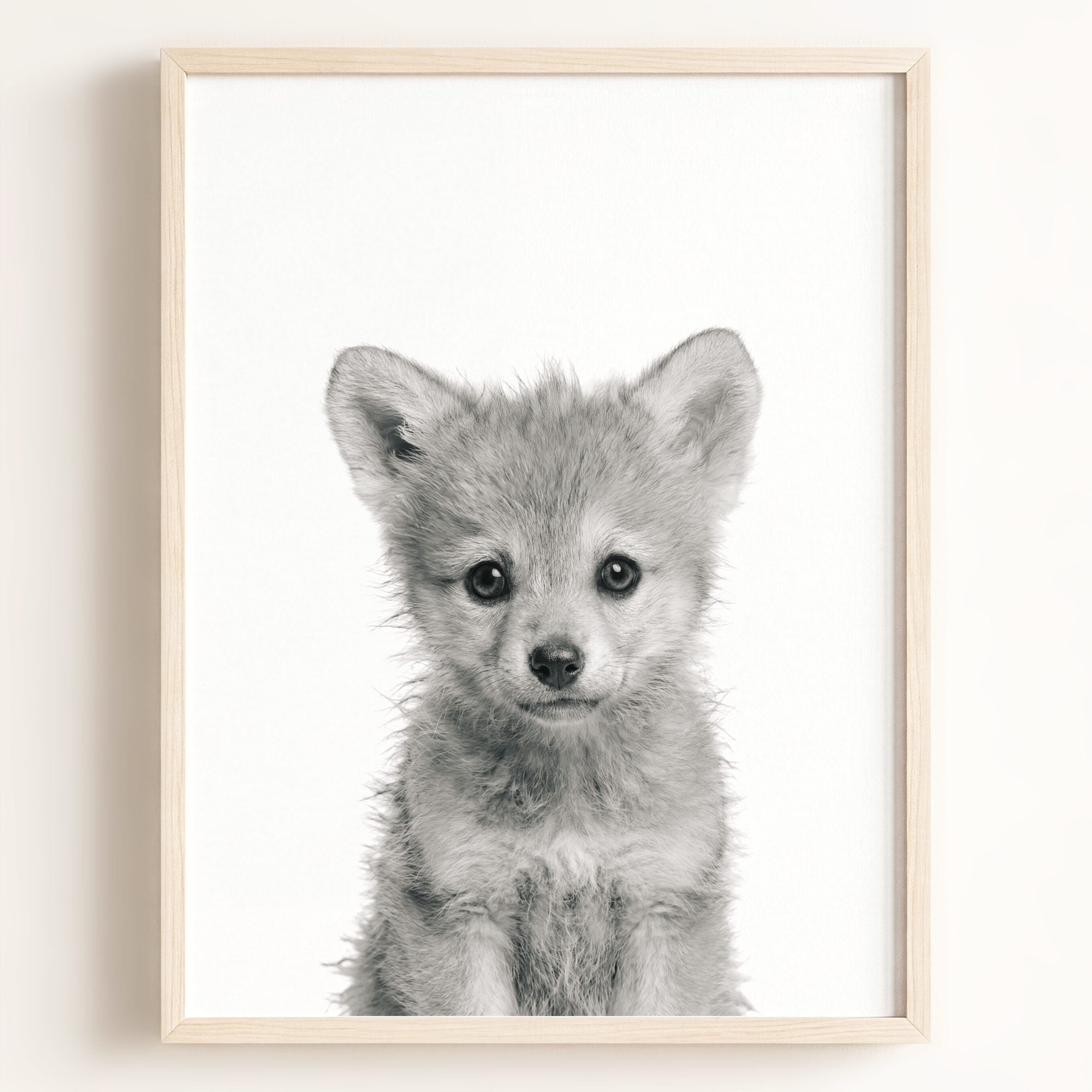Baby Wolf
