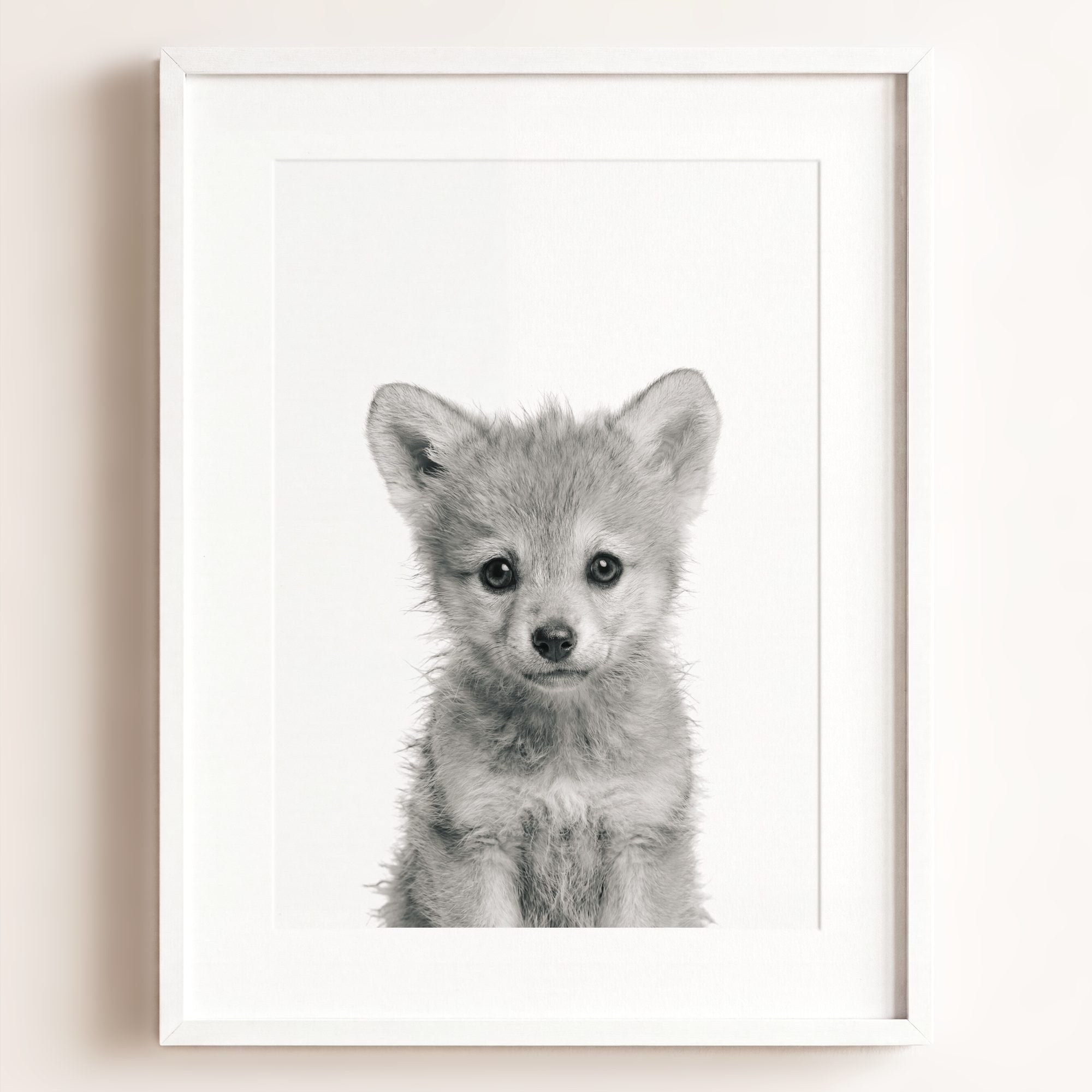 Baby Wolf