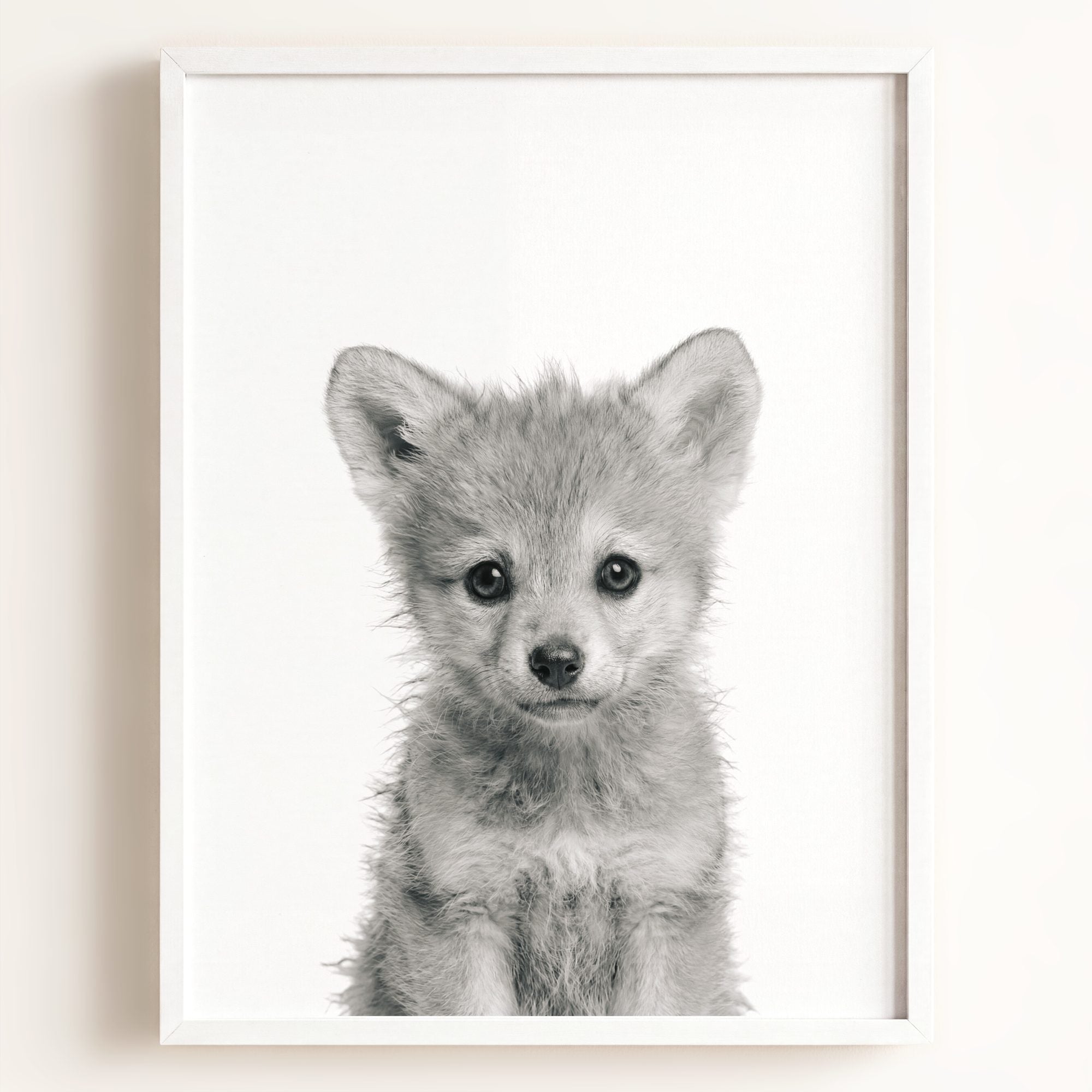 Baby Wolf