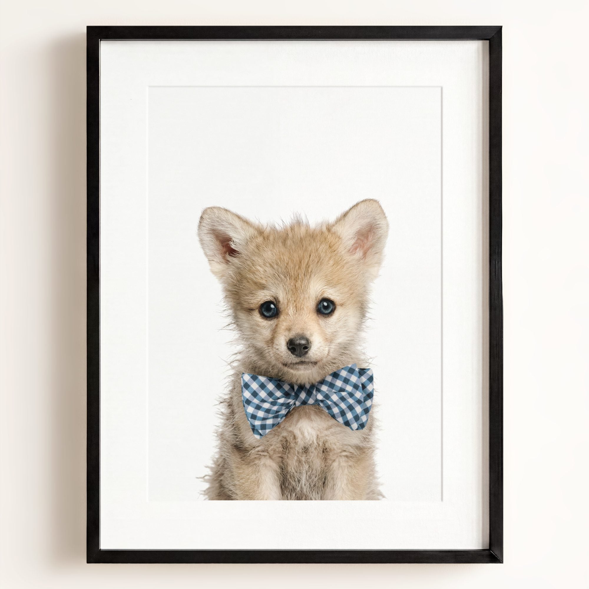 Baby Wolf