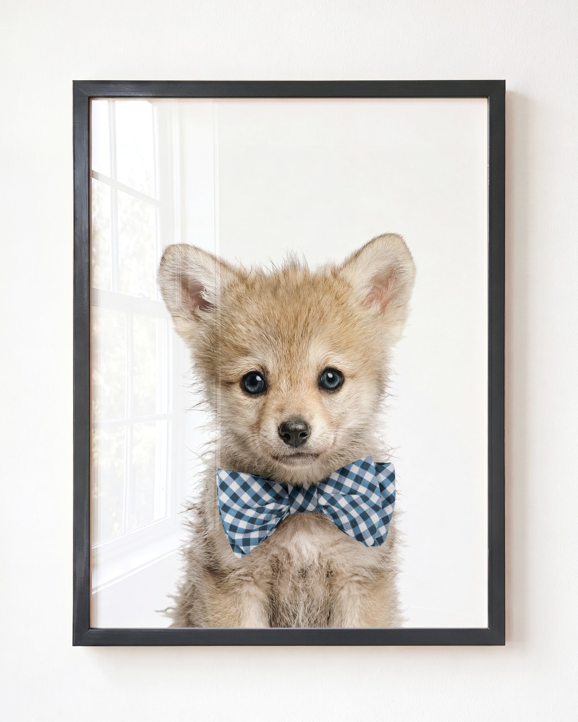 Baby Wolf
