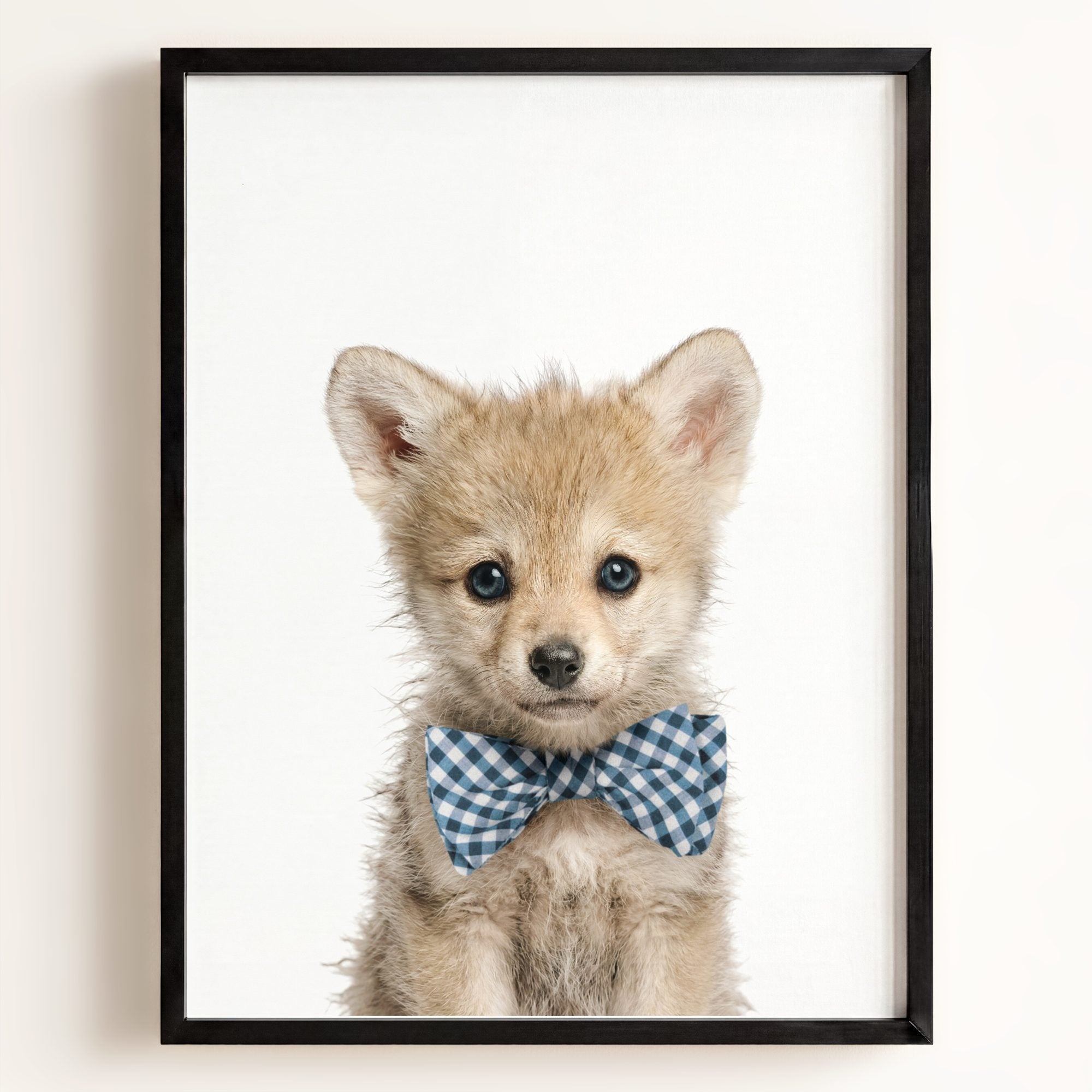 Baby Wolf