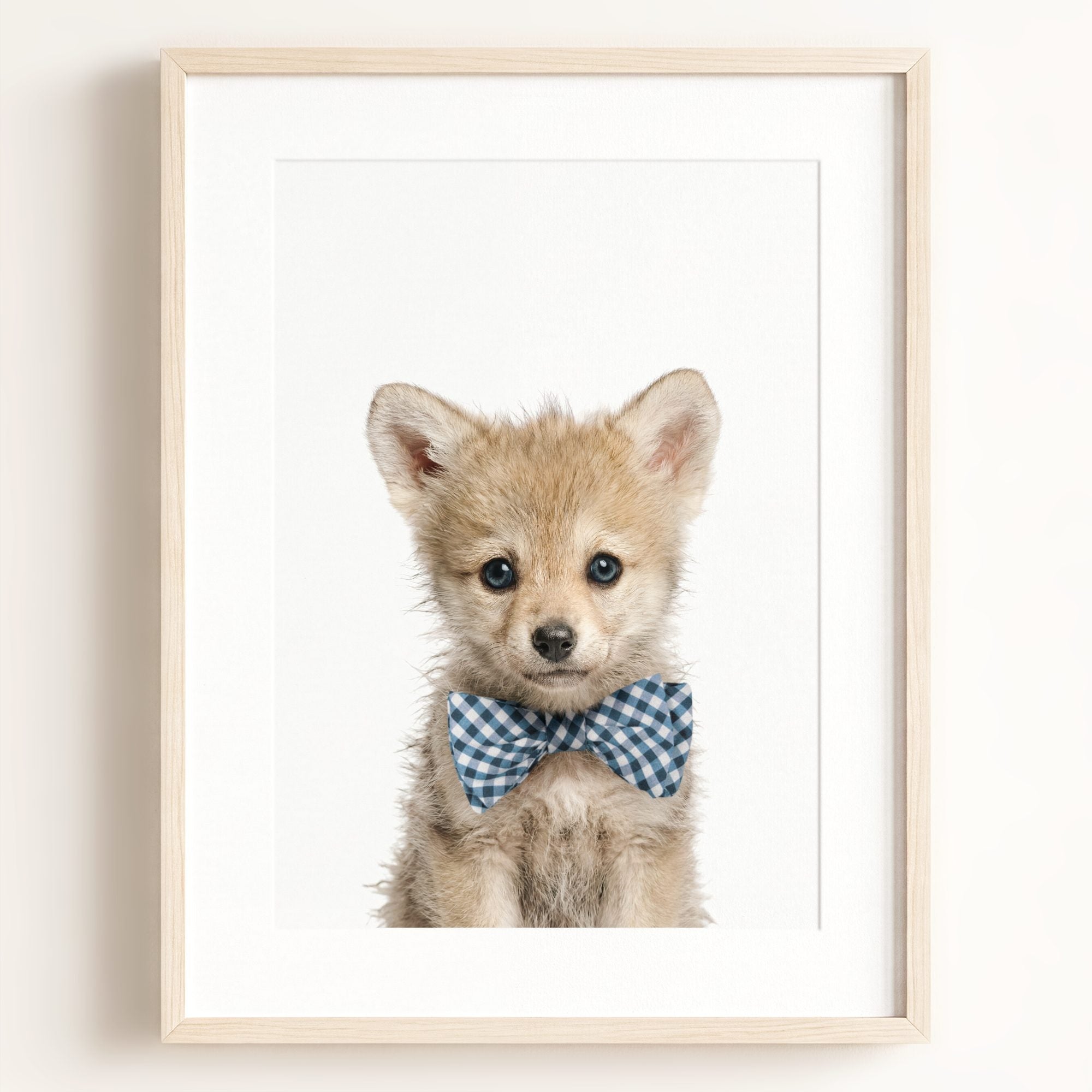 Baby Wolf