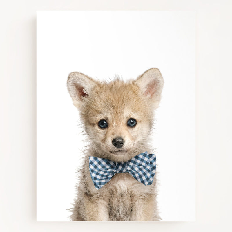 Bow Tie Cornflower