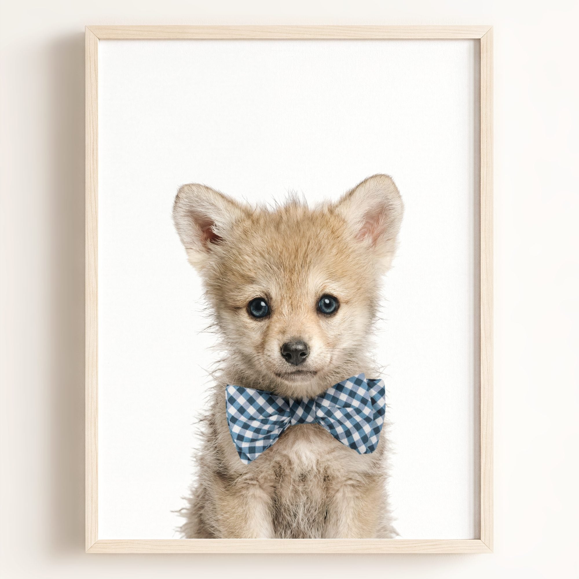 Baby Wolf