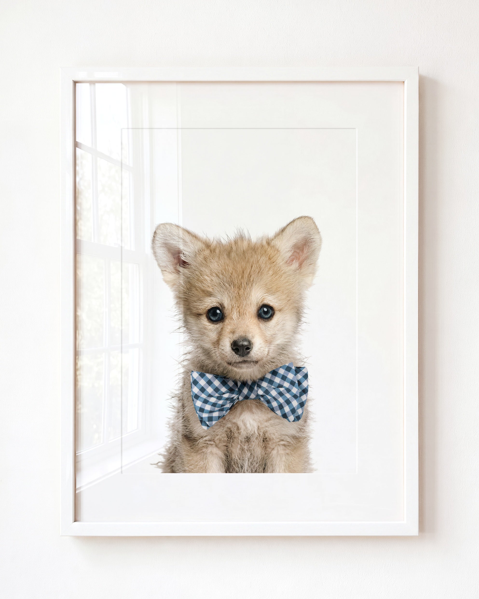 Baby Wolf