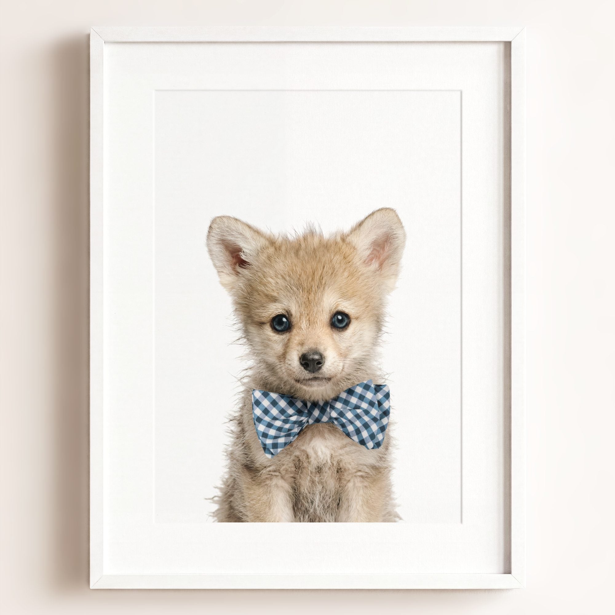 Baby Wolf