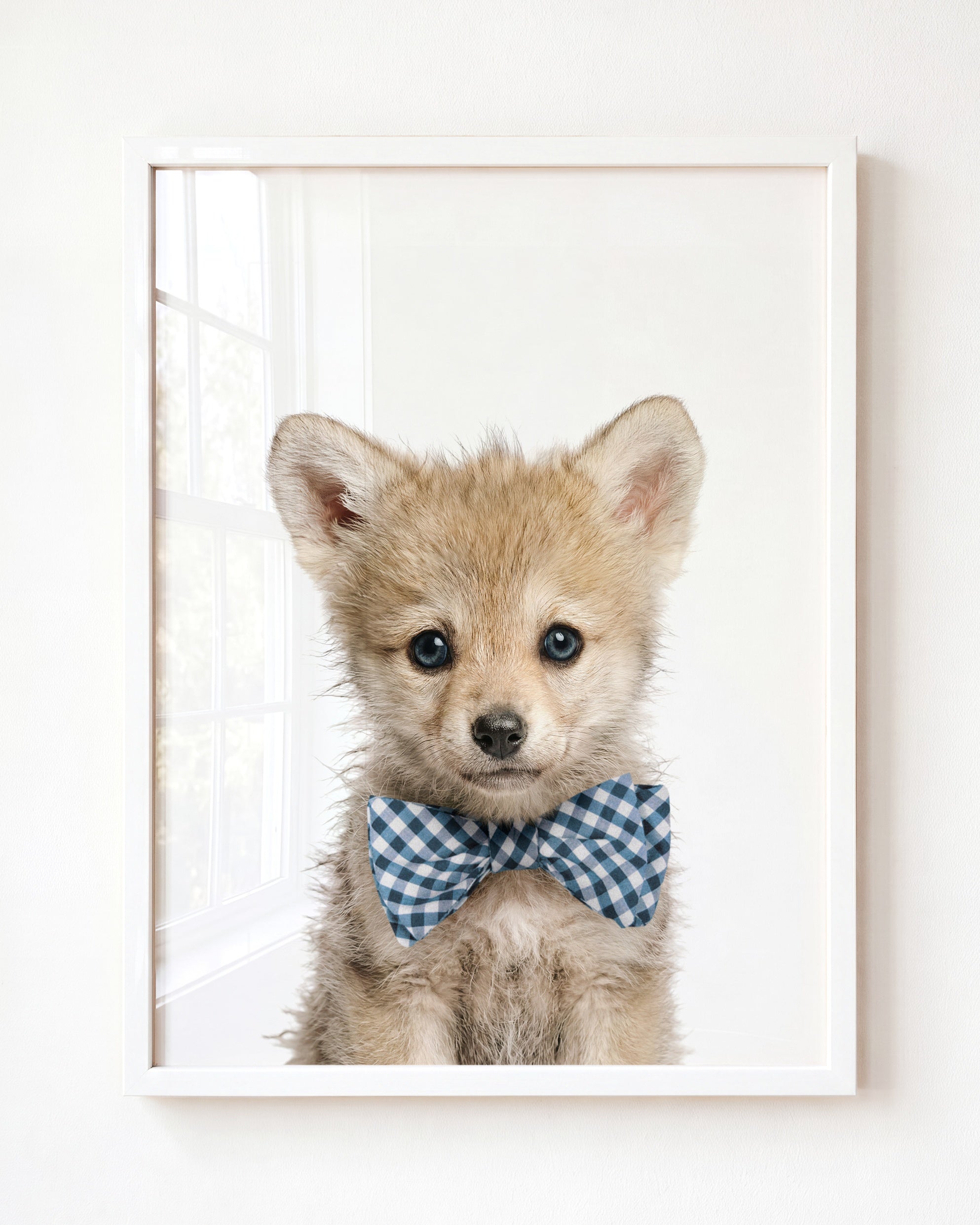 Baby Wolf
