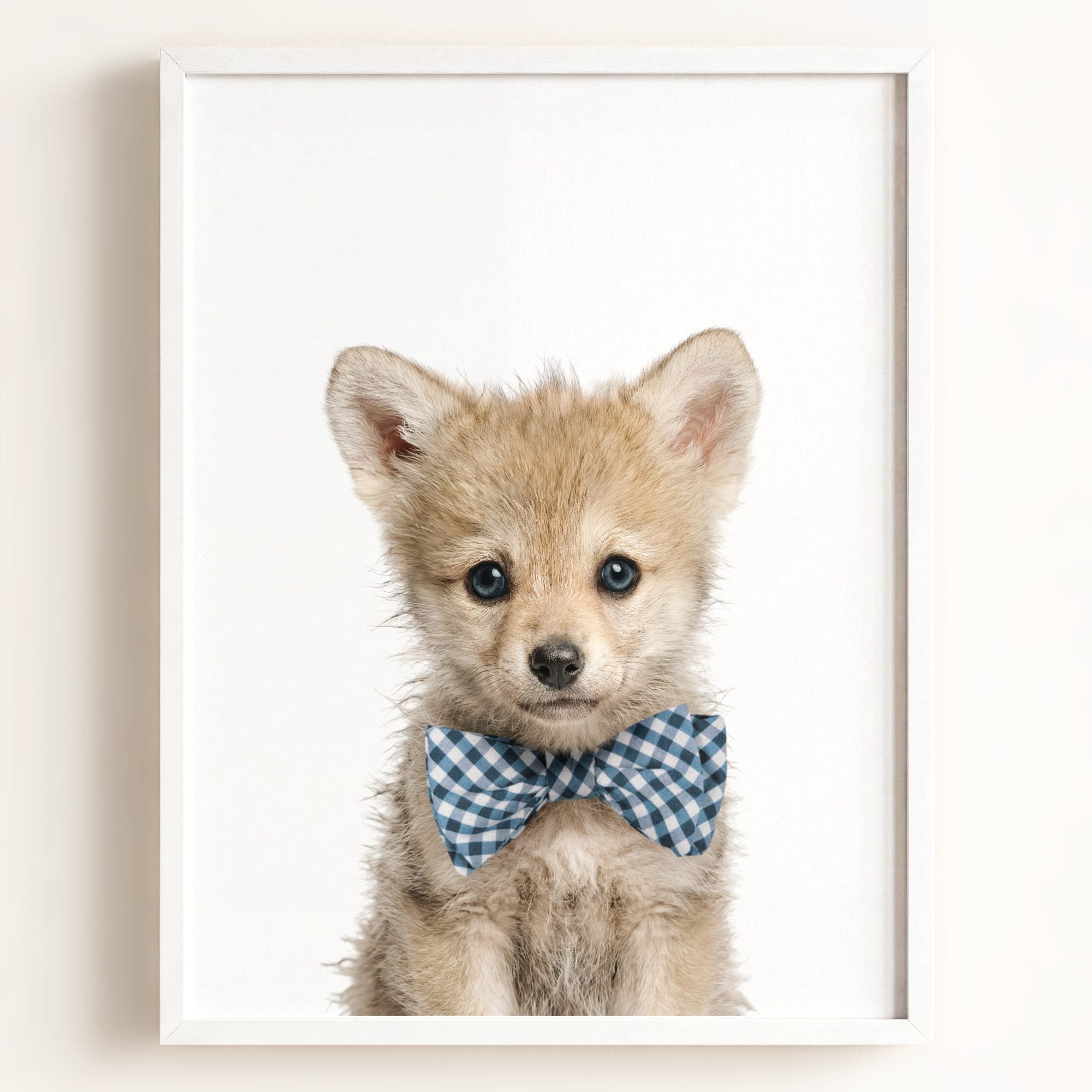 Baby Wolf