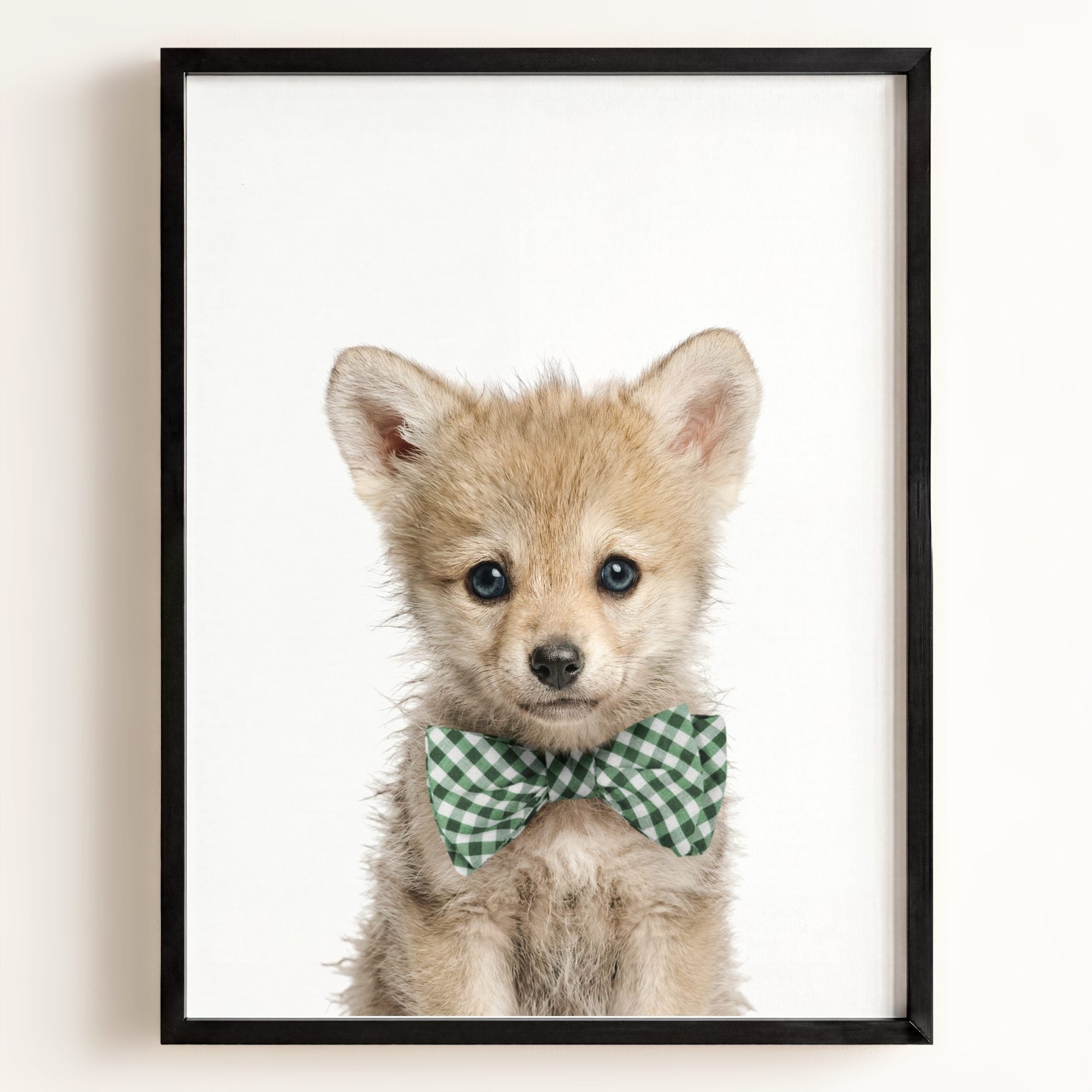 Baby Wolf