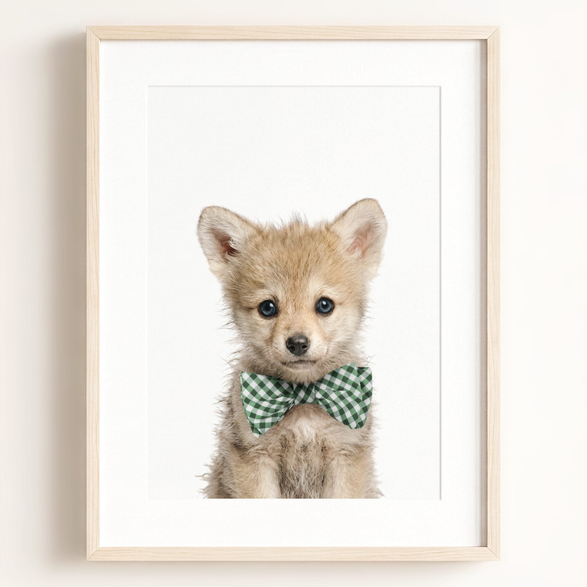 Baby Wolf
