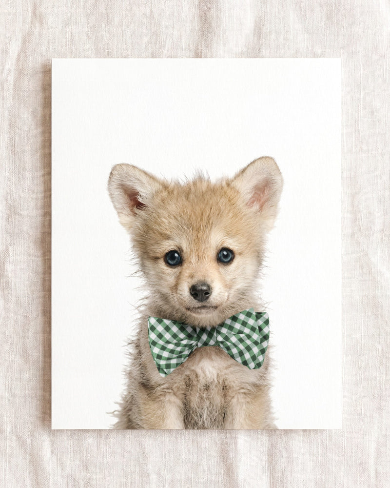 Bow Tie