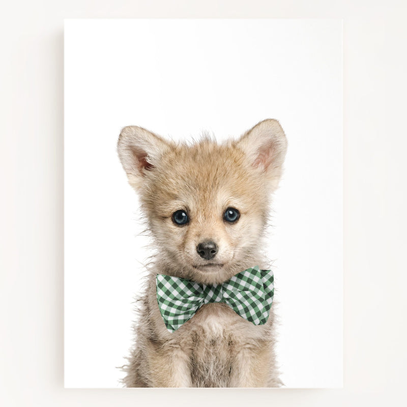 Bow Tie