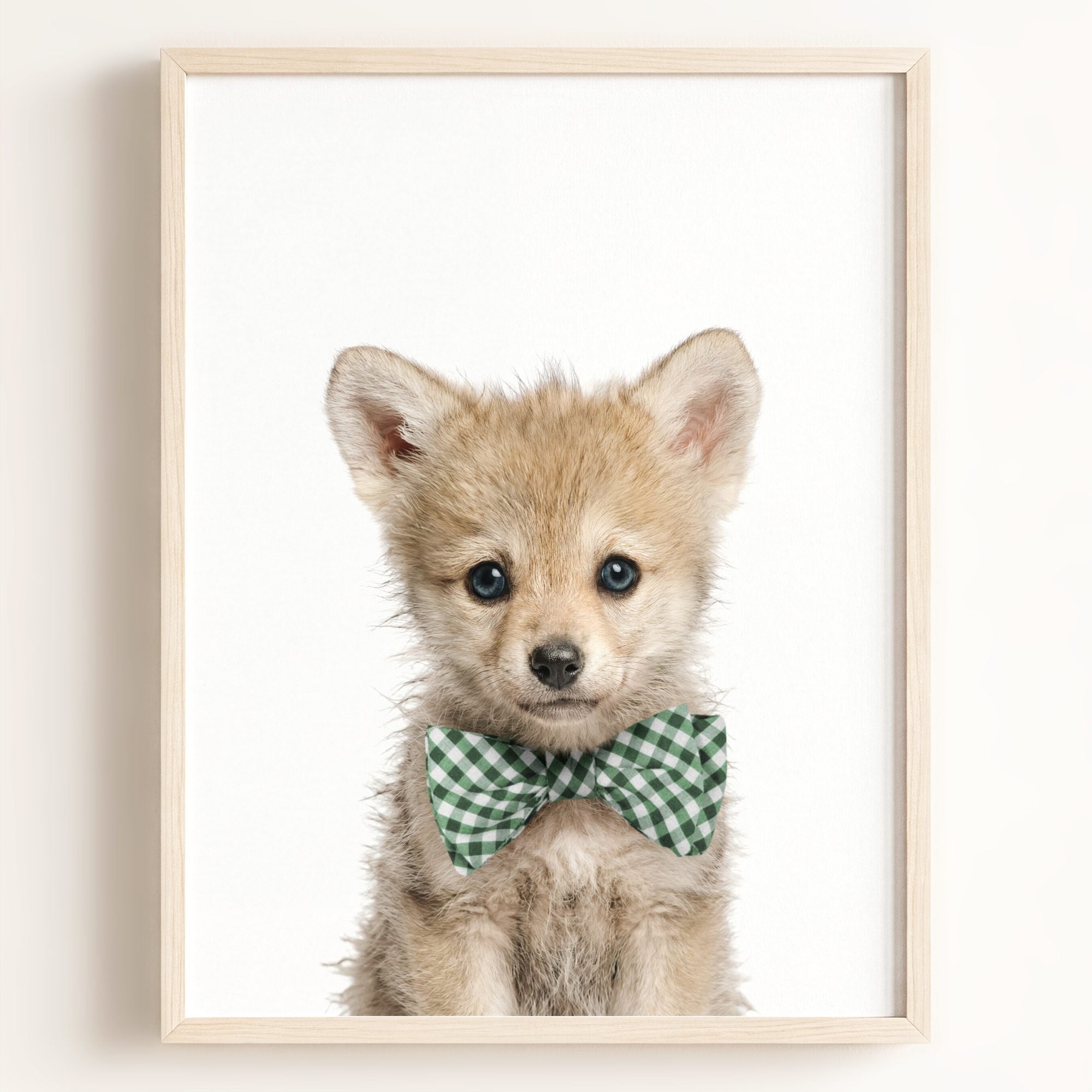 Baby Wolf