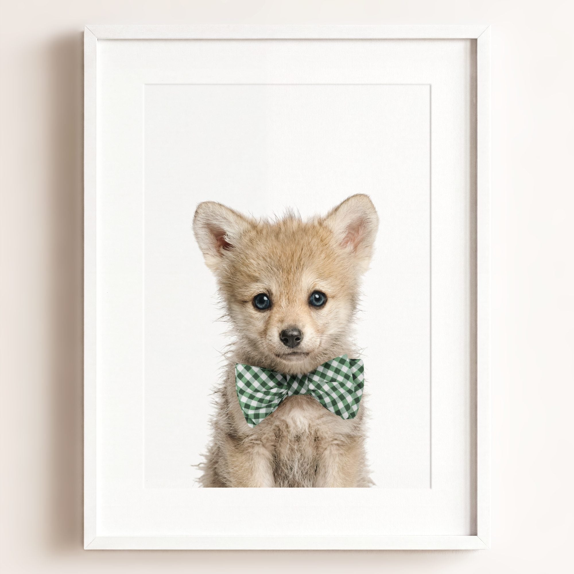 Baby Wolf