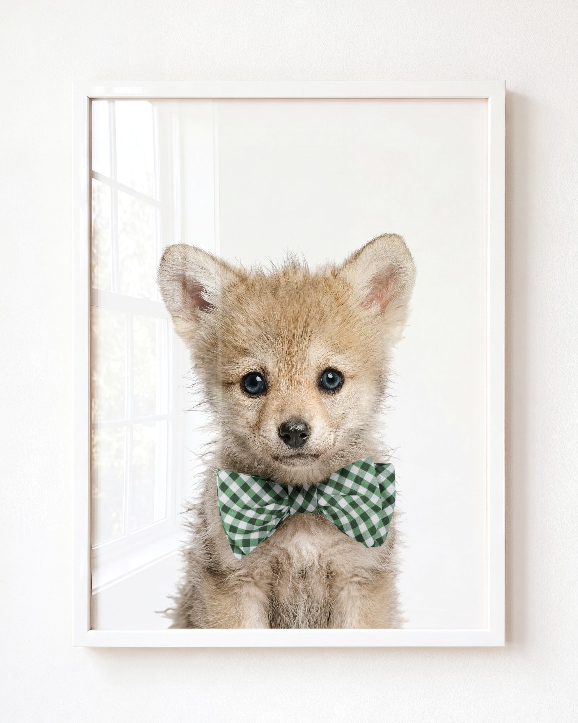 Baby Wolf