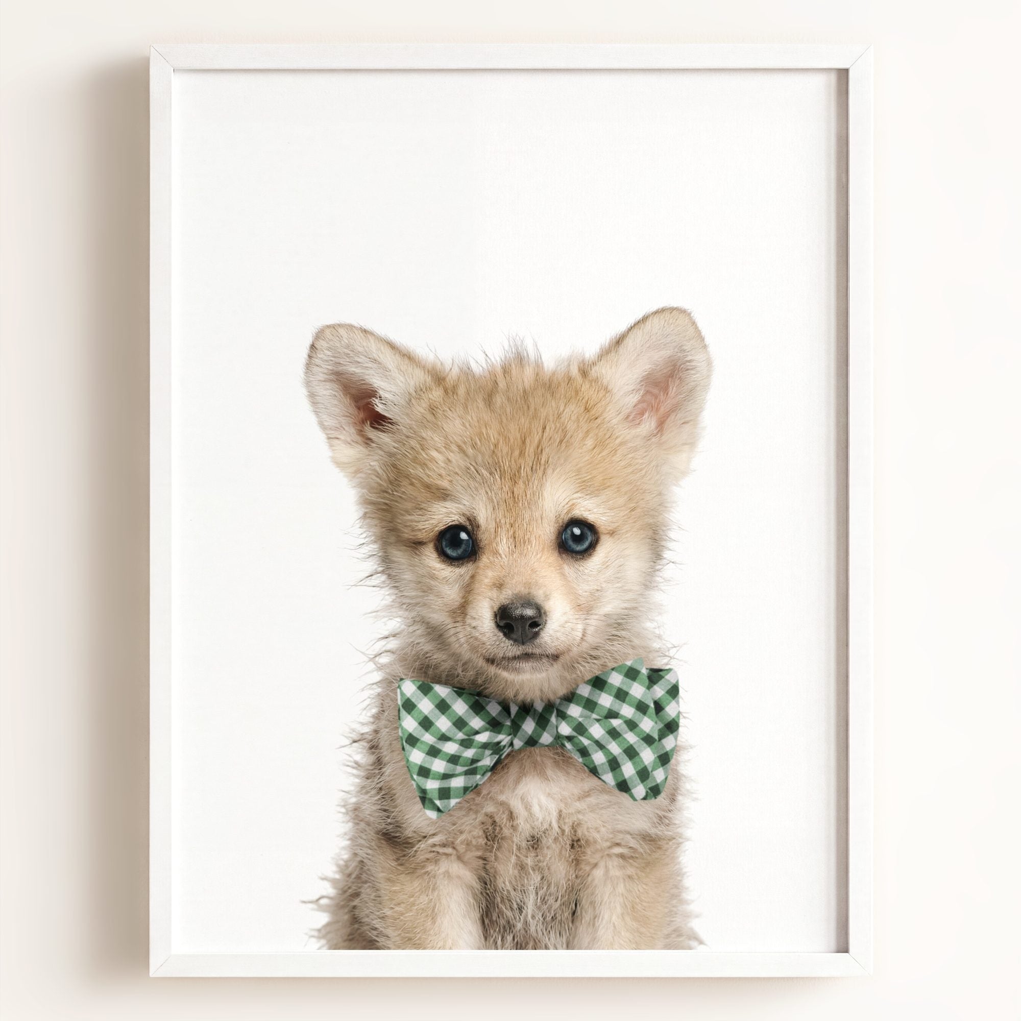 Baby Wolf