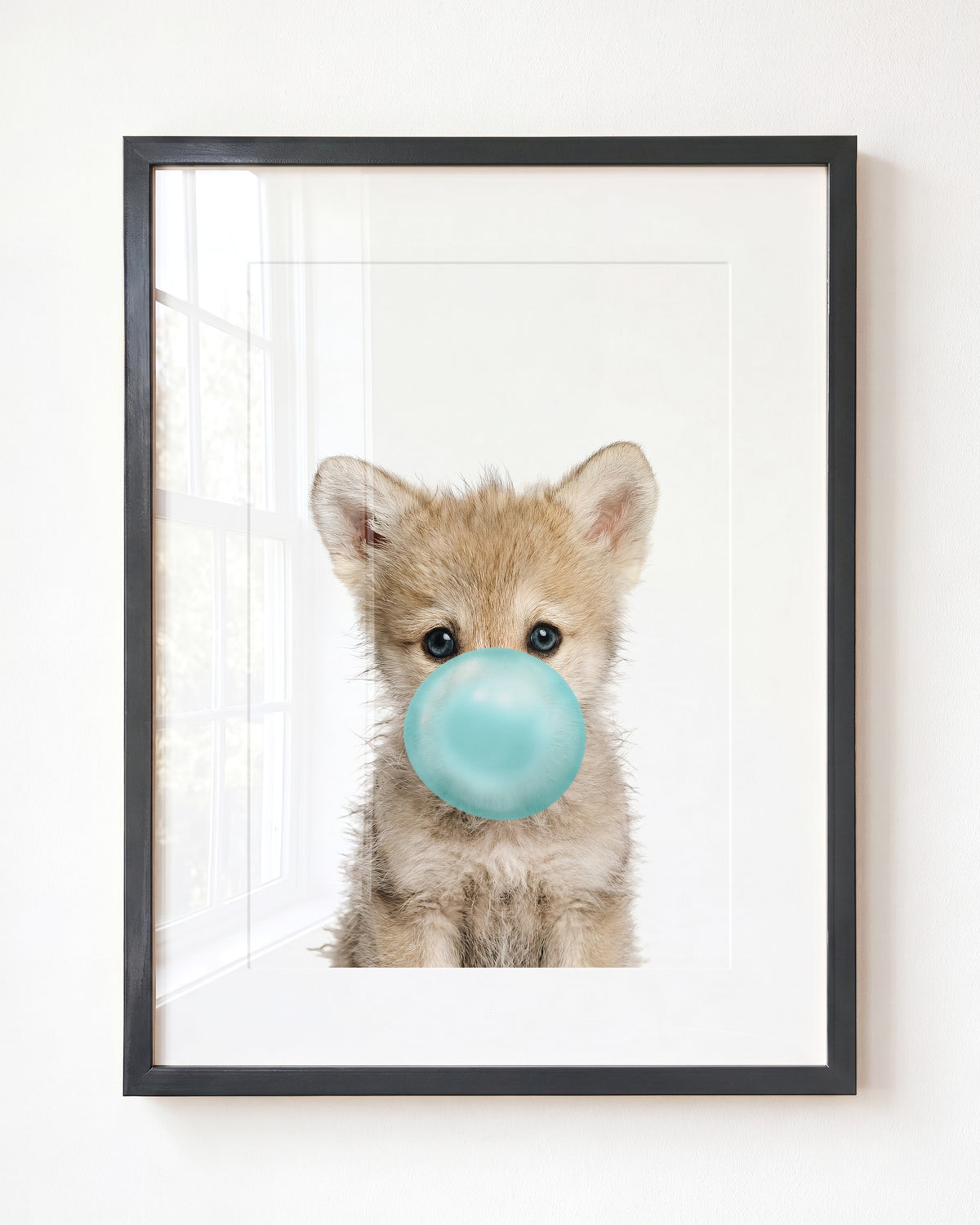 Baby Wolf