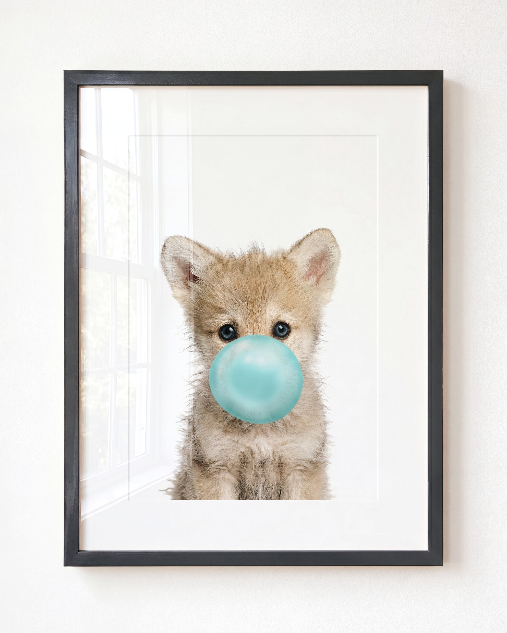 Baby Wolf