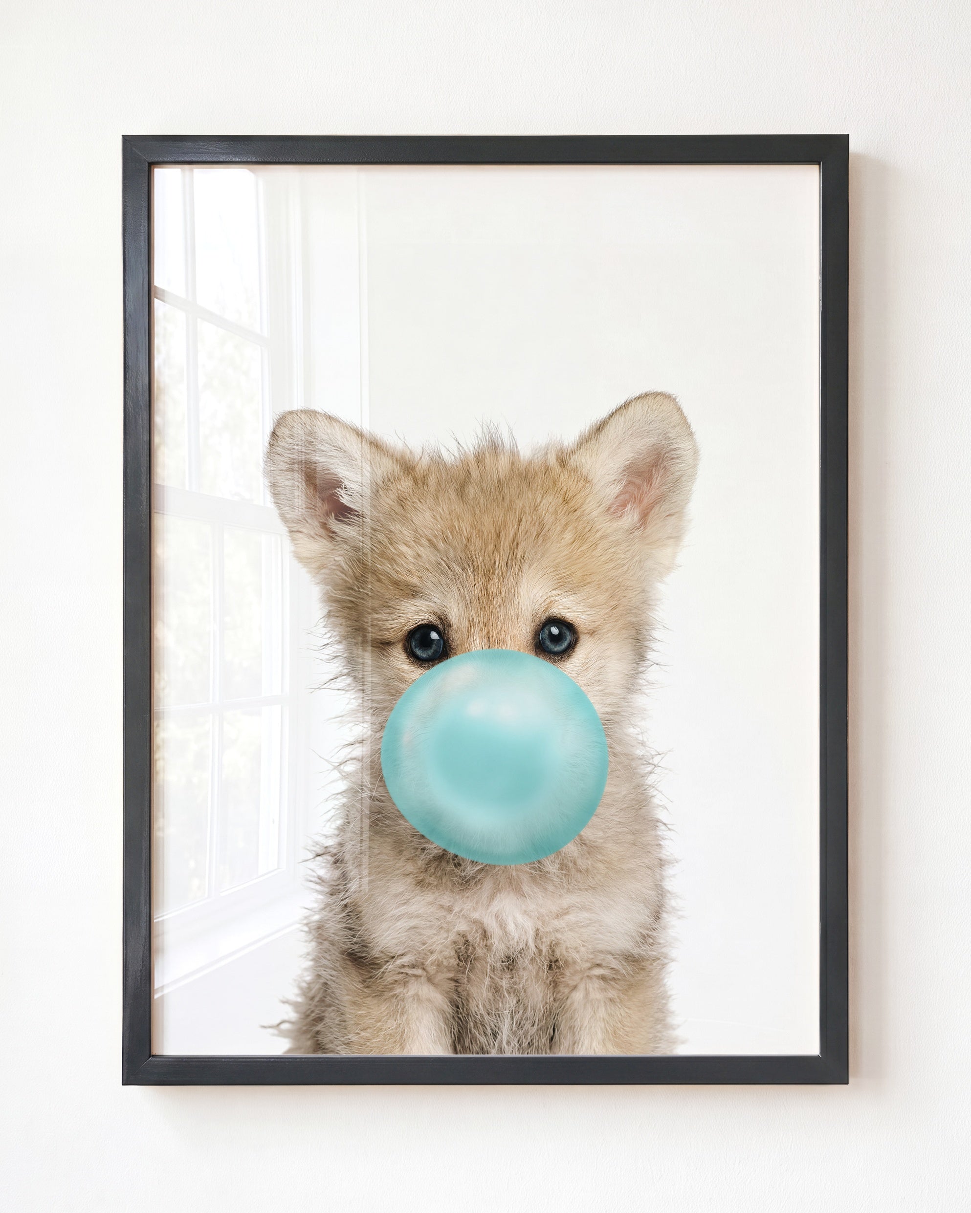 Baby Wolf