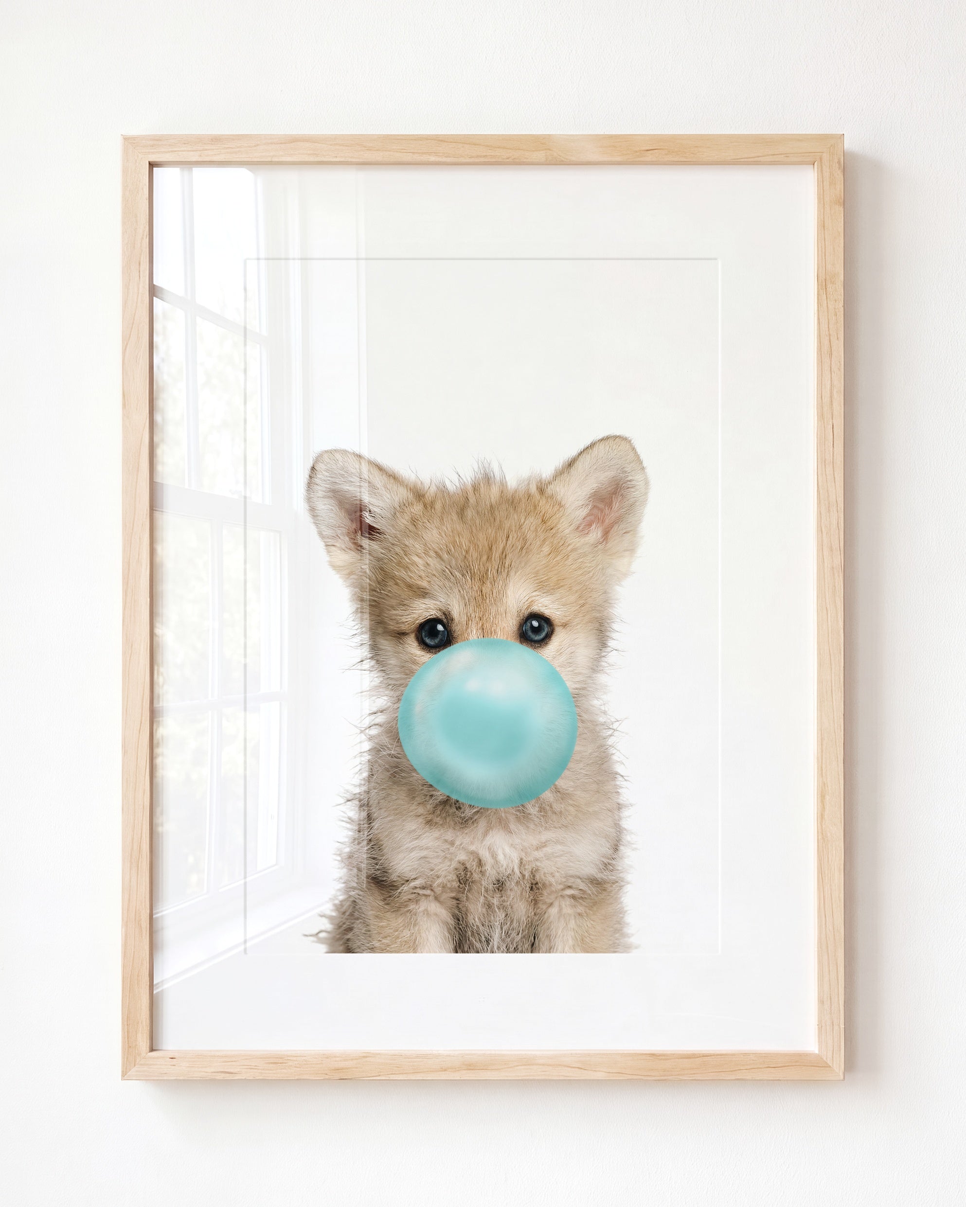 Baby Wolf
