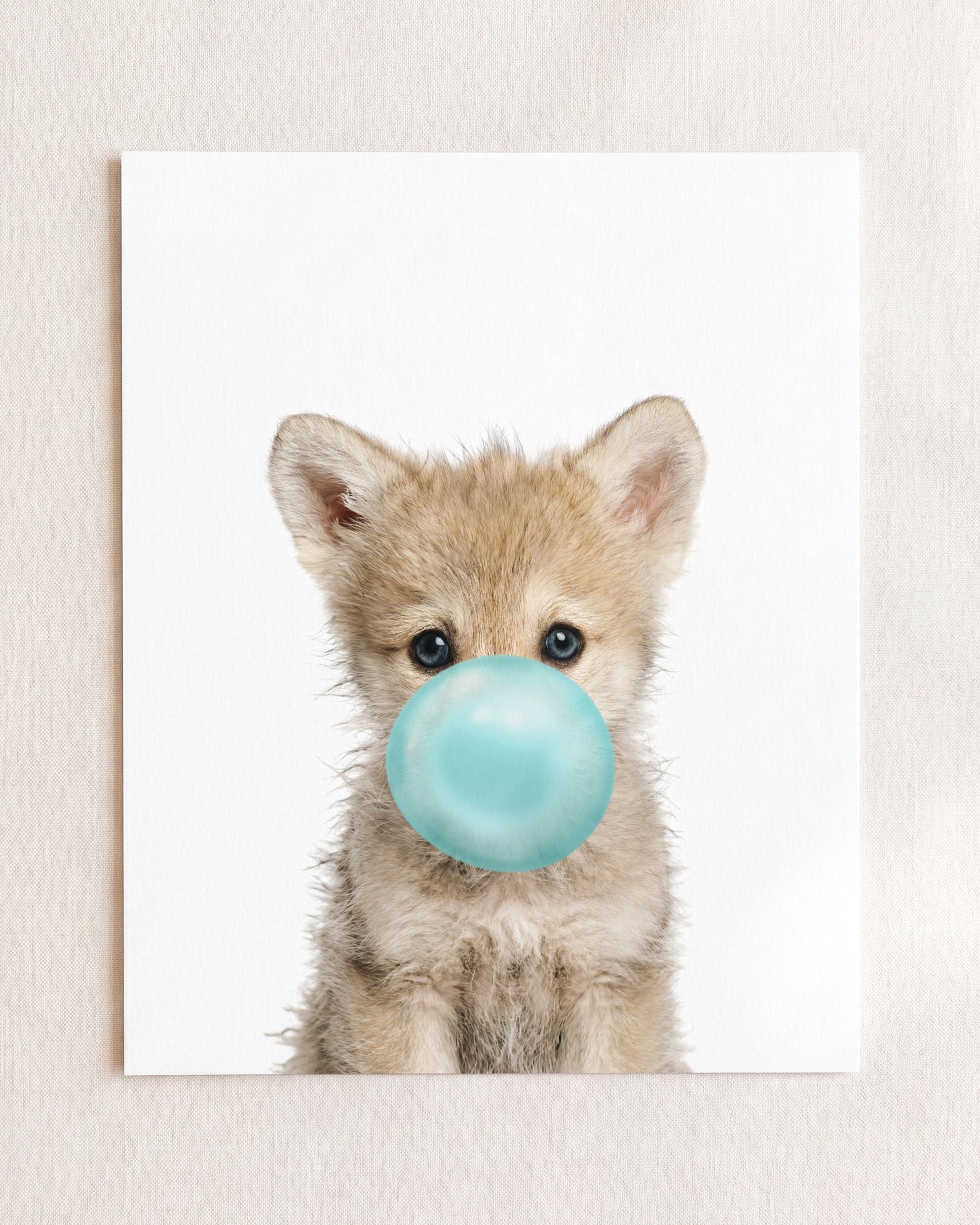 Baby Wolf