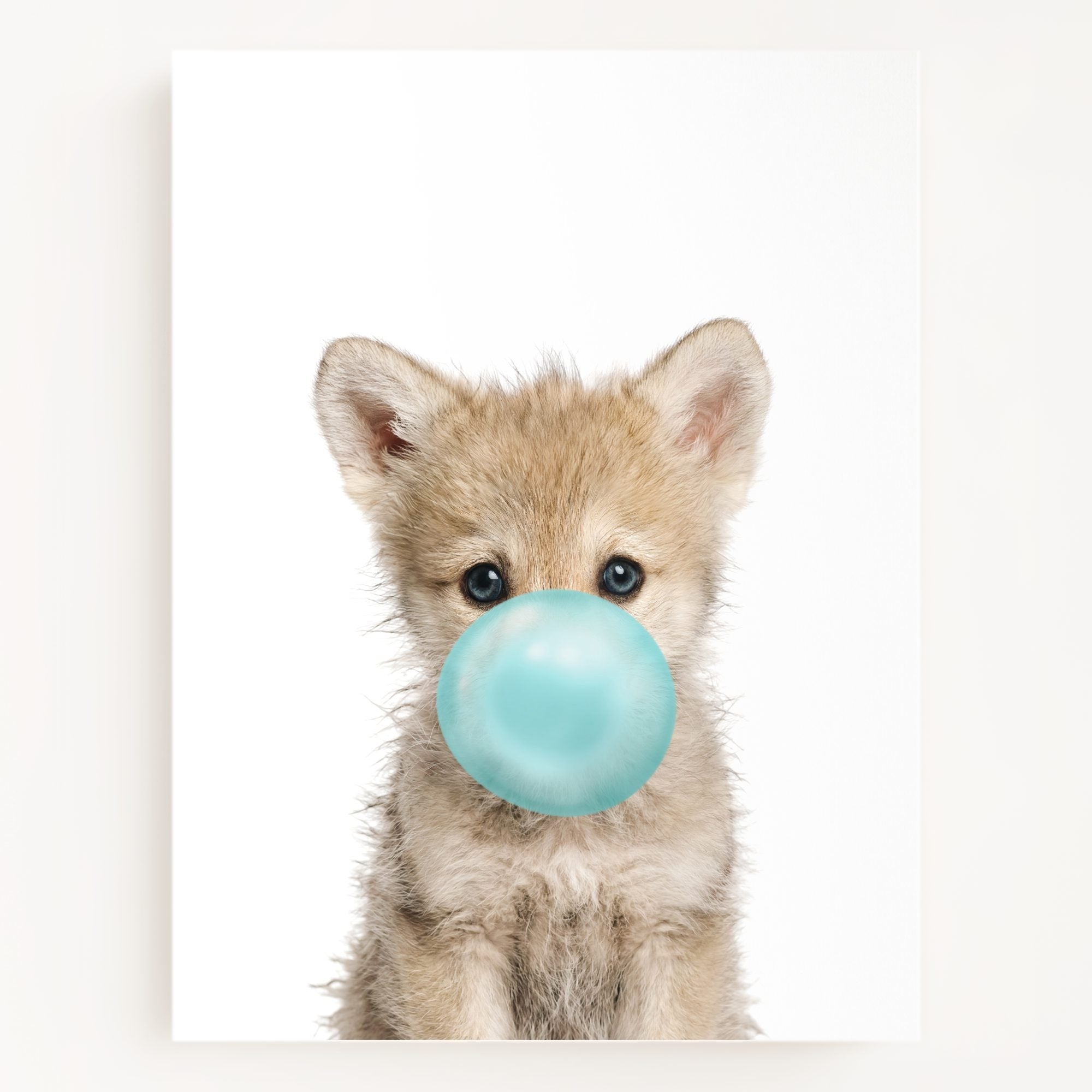Baby Wolf