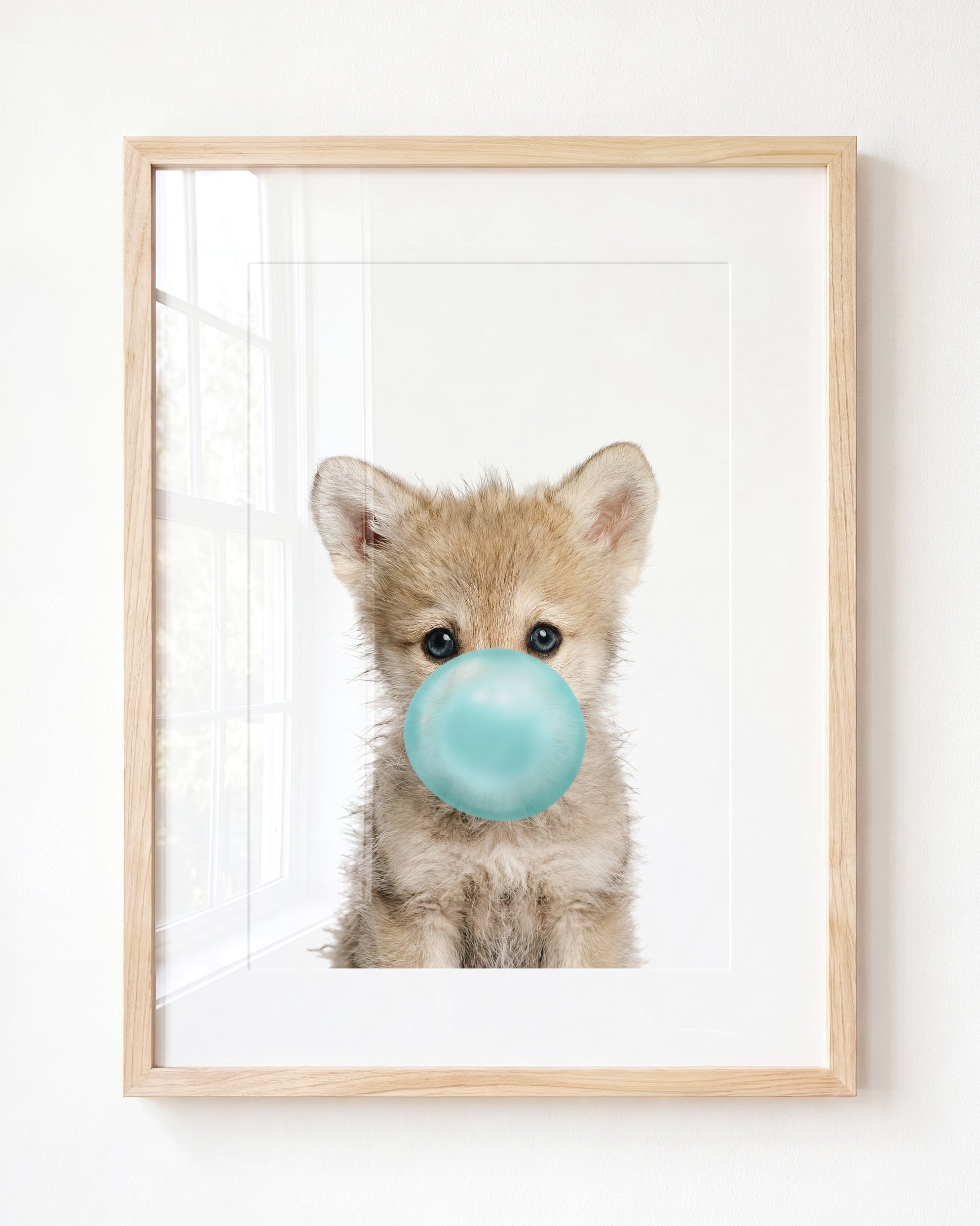Baby Wolf