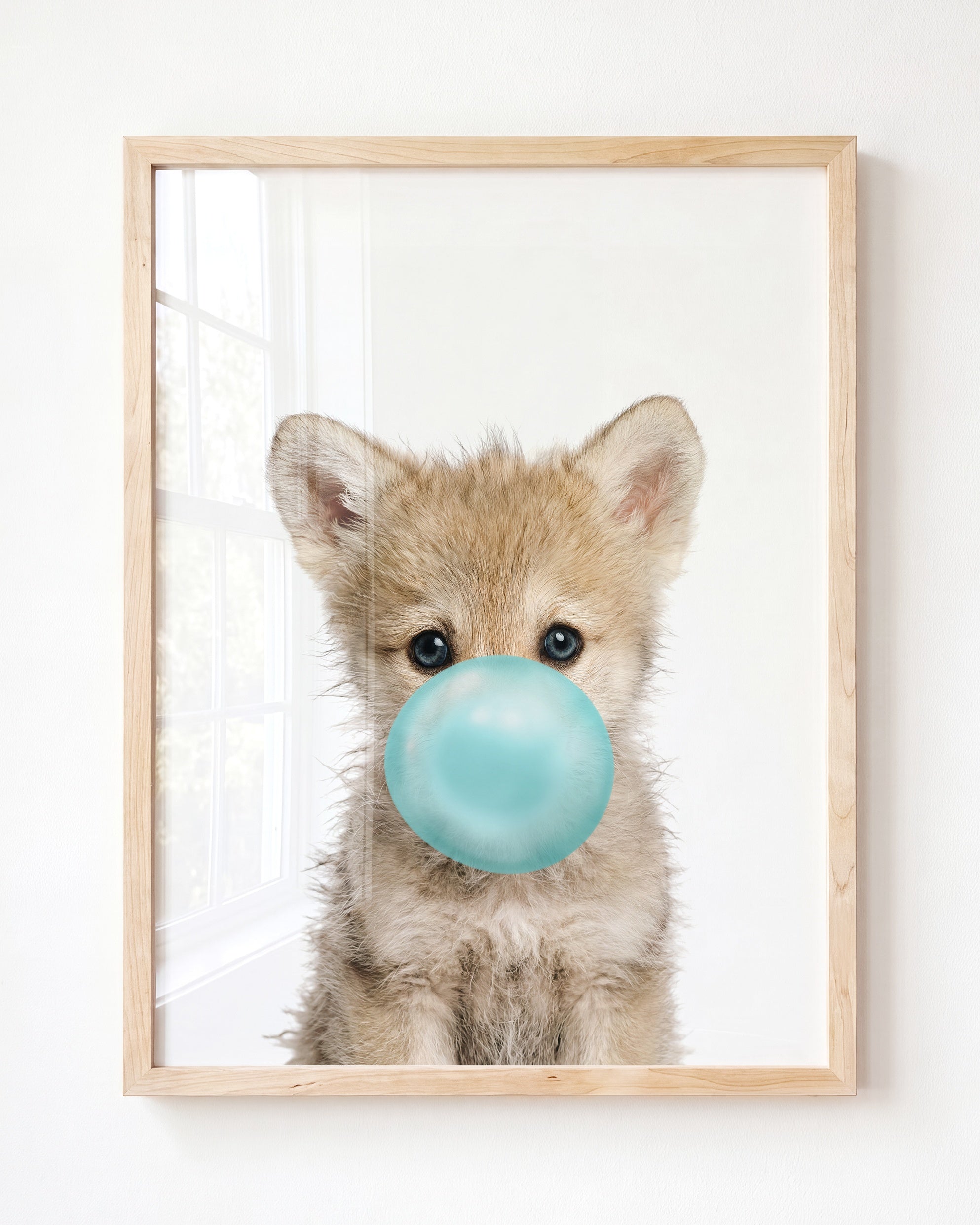 Baby Wolf