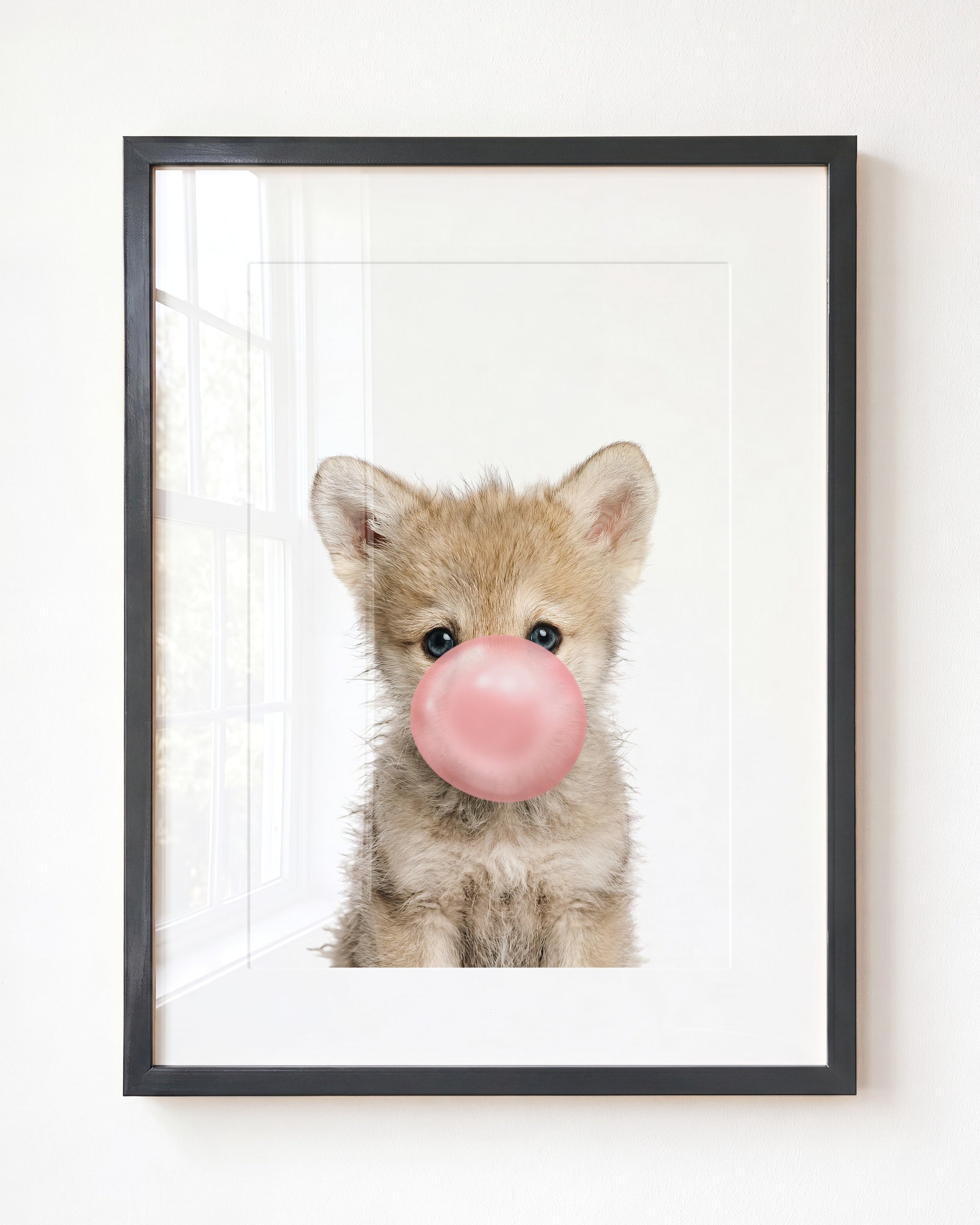 Baby Wolf