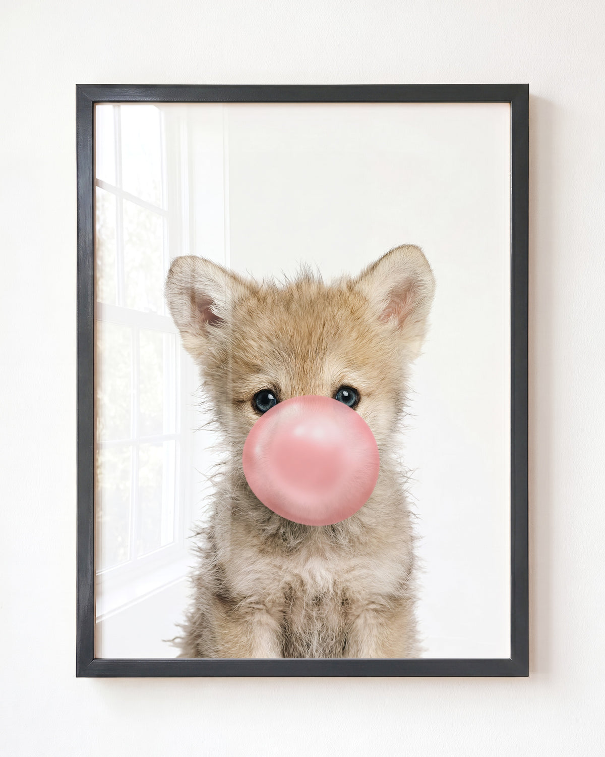 Baby Wolf