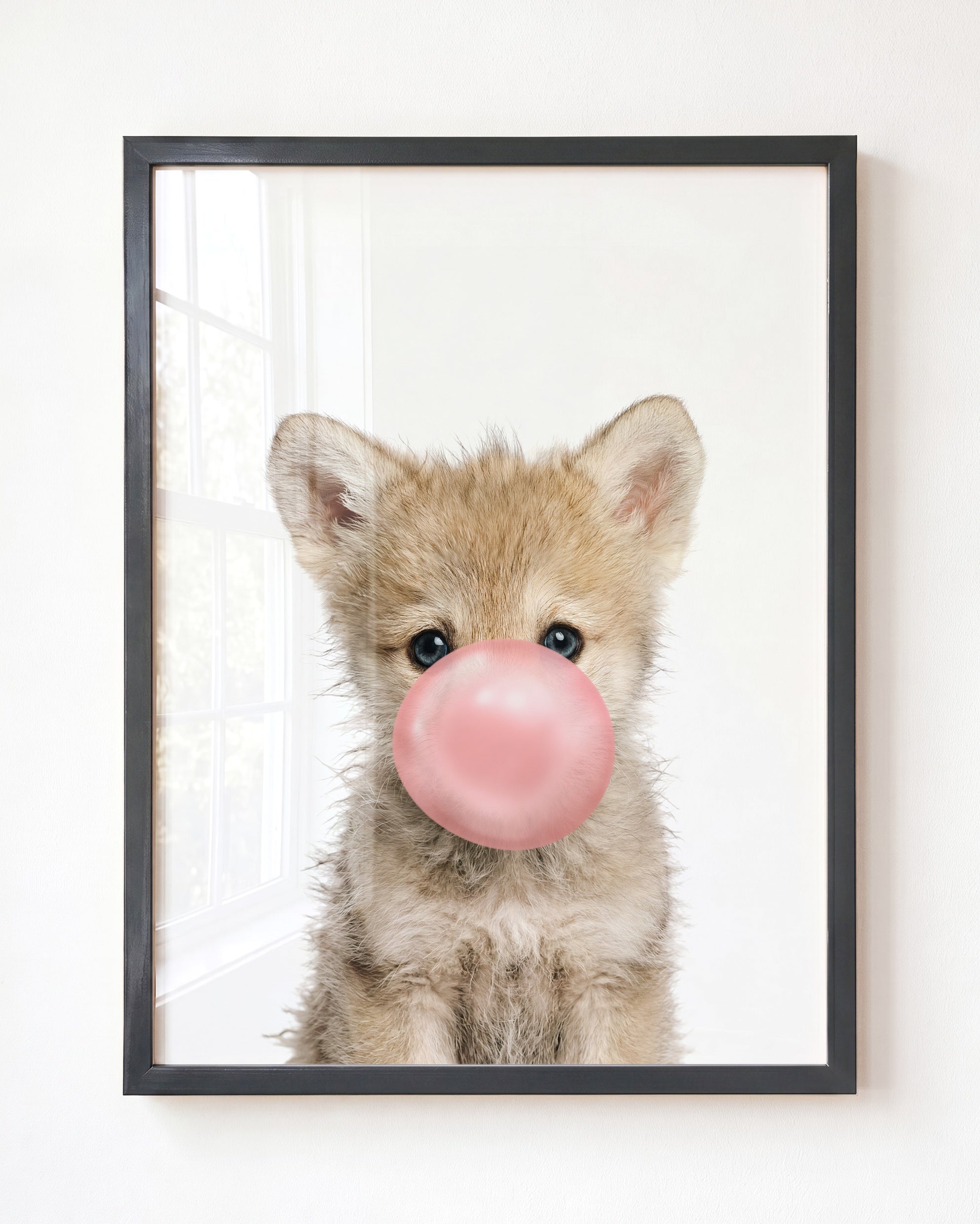 Baby Wolf