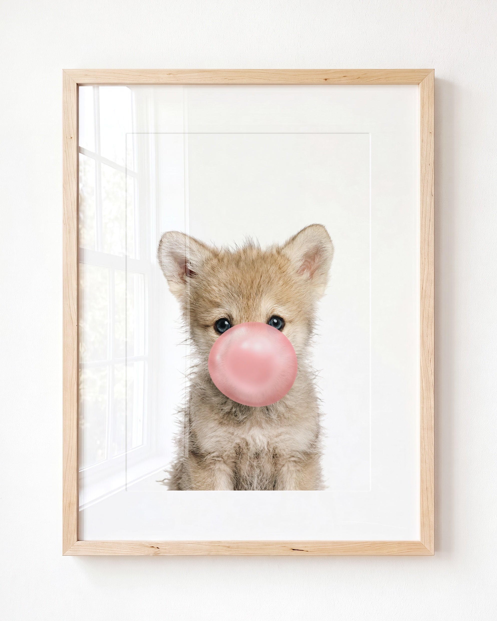 Baby Wolf