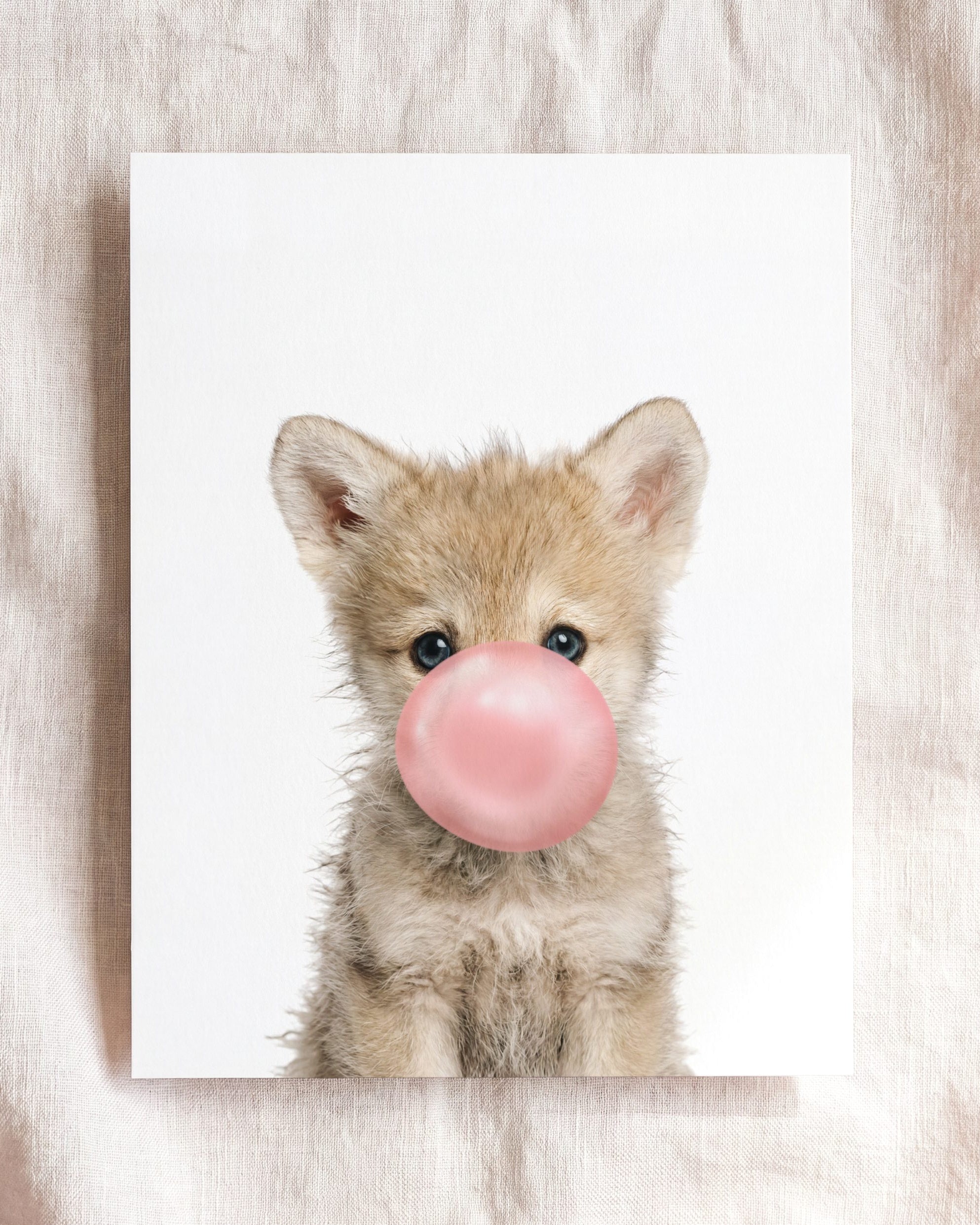 Baby Wolf