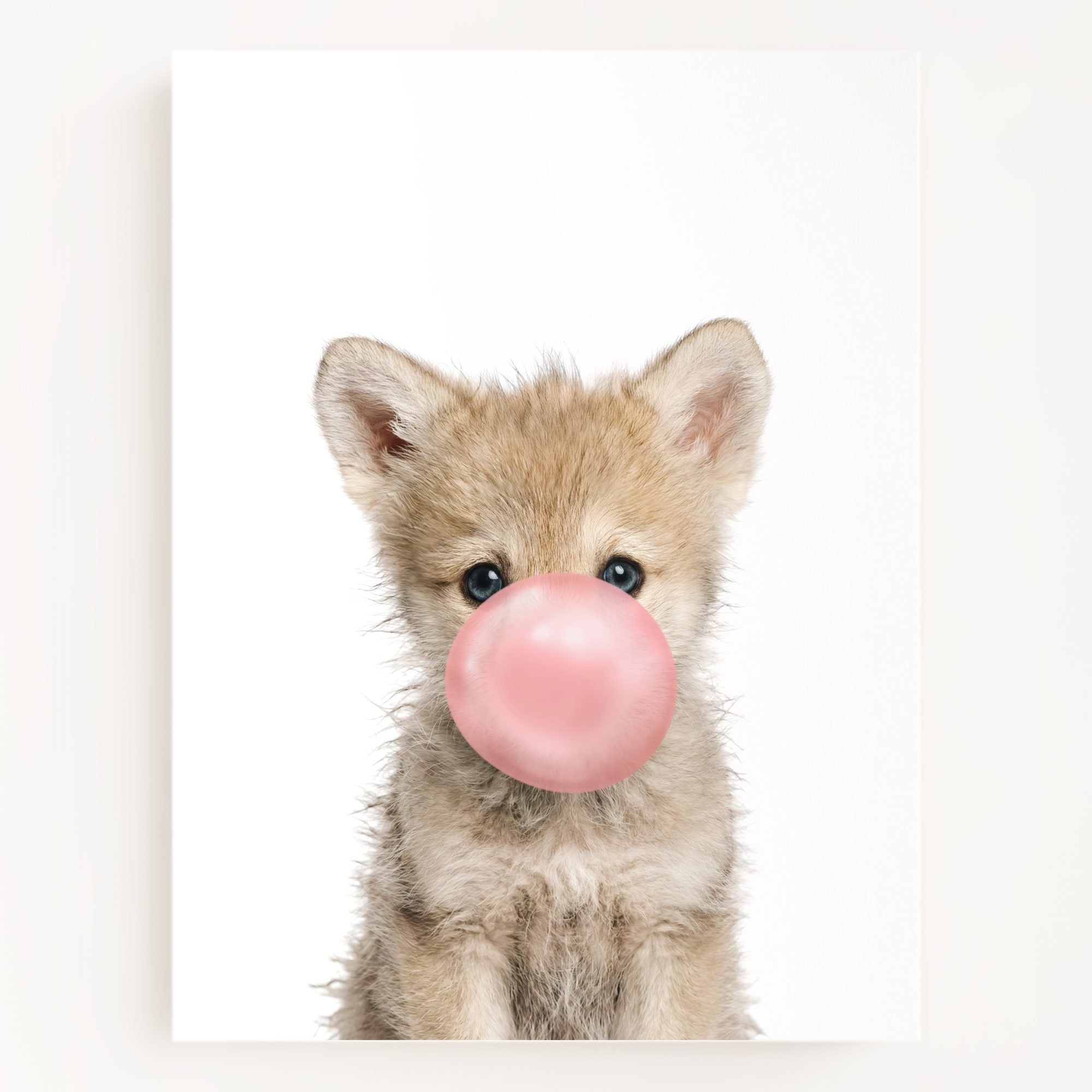 Baby Wolf
