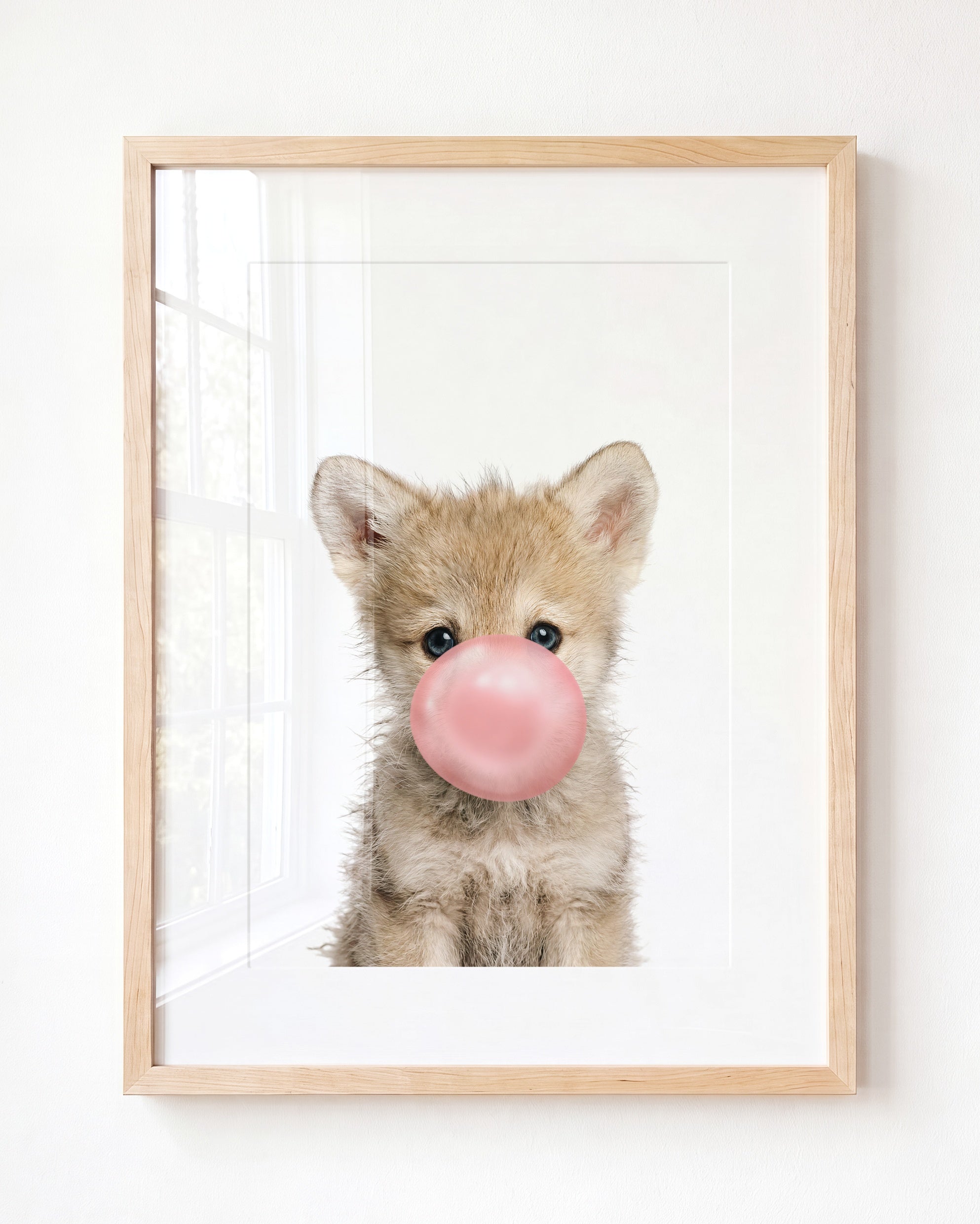 Baby Wolf