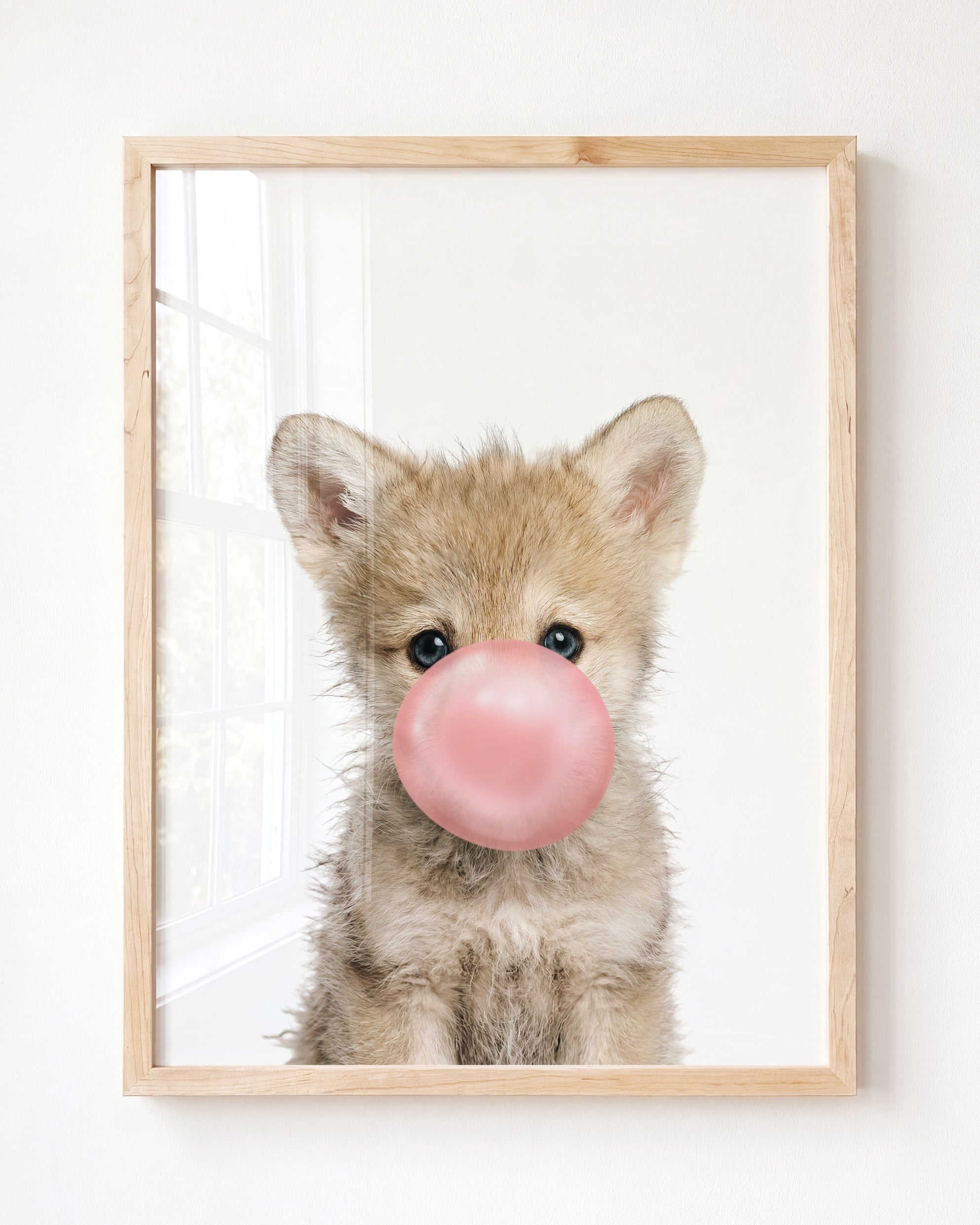 Baby Wolf