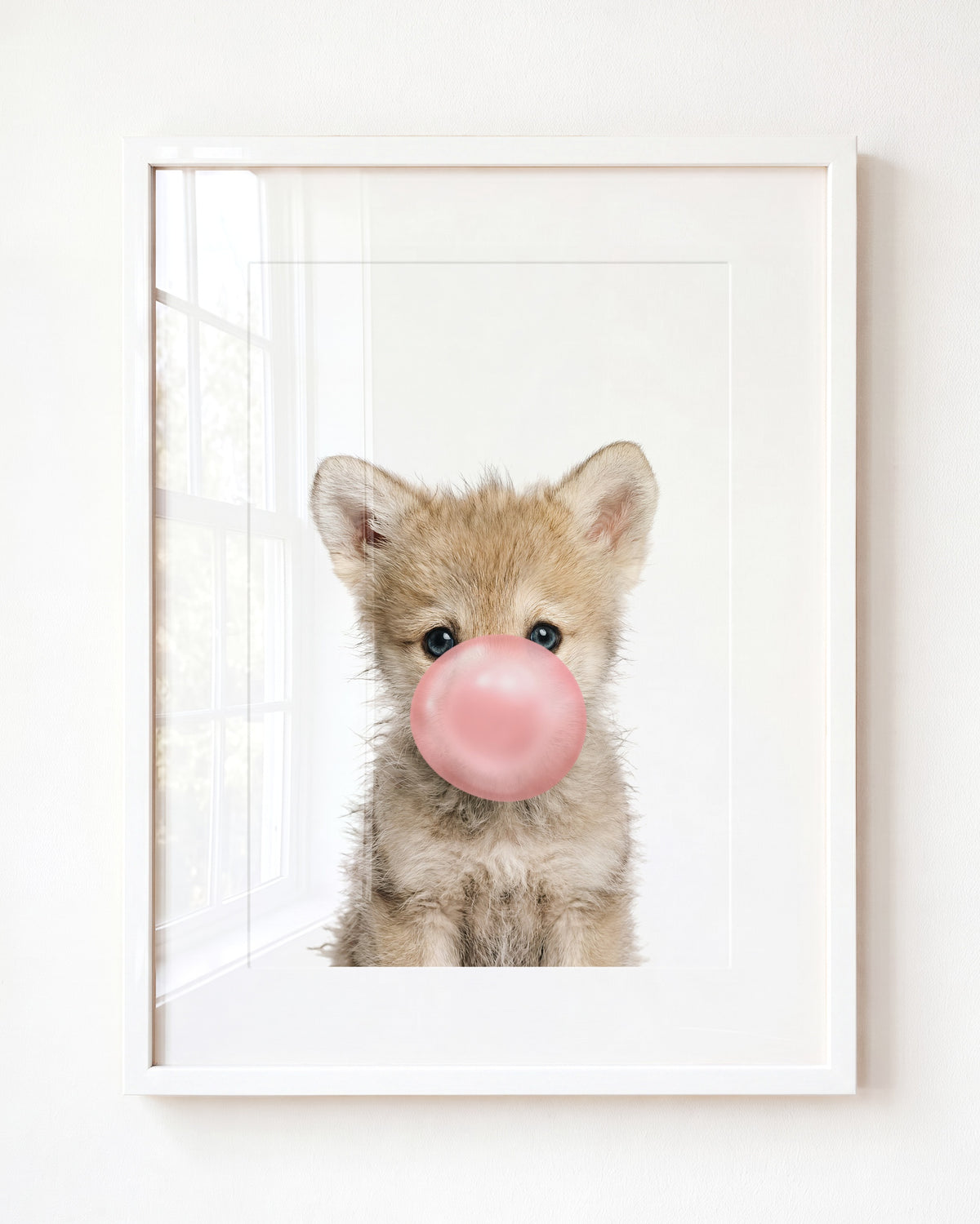 Baby Wolf