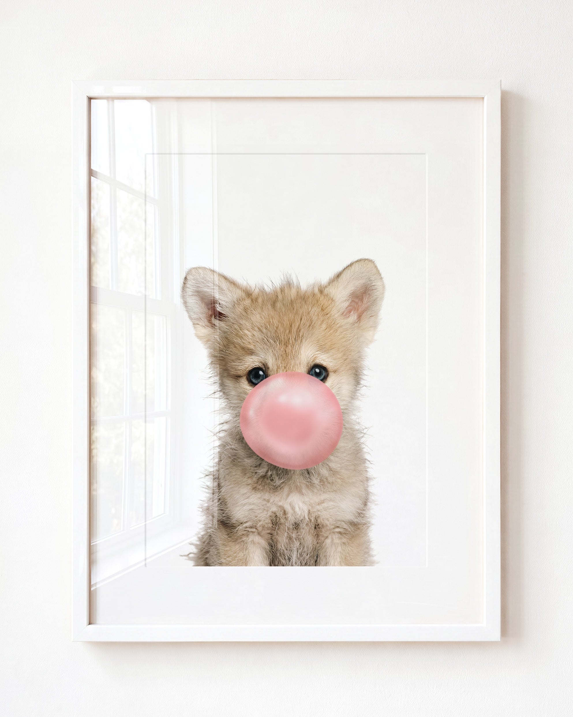 Baby Wolf