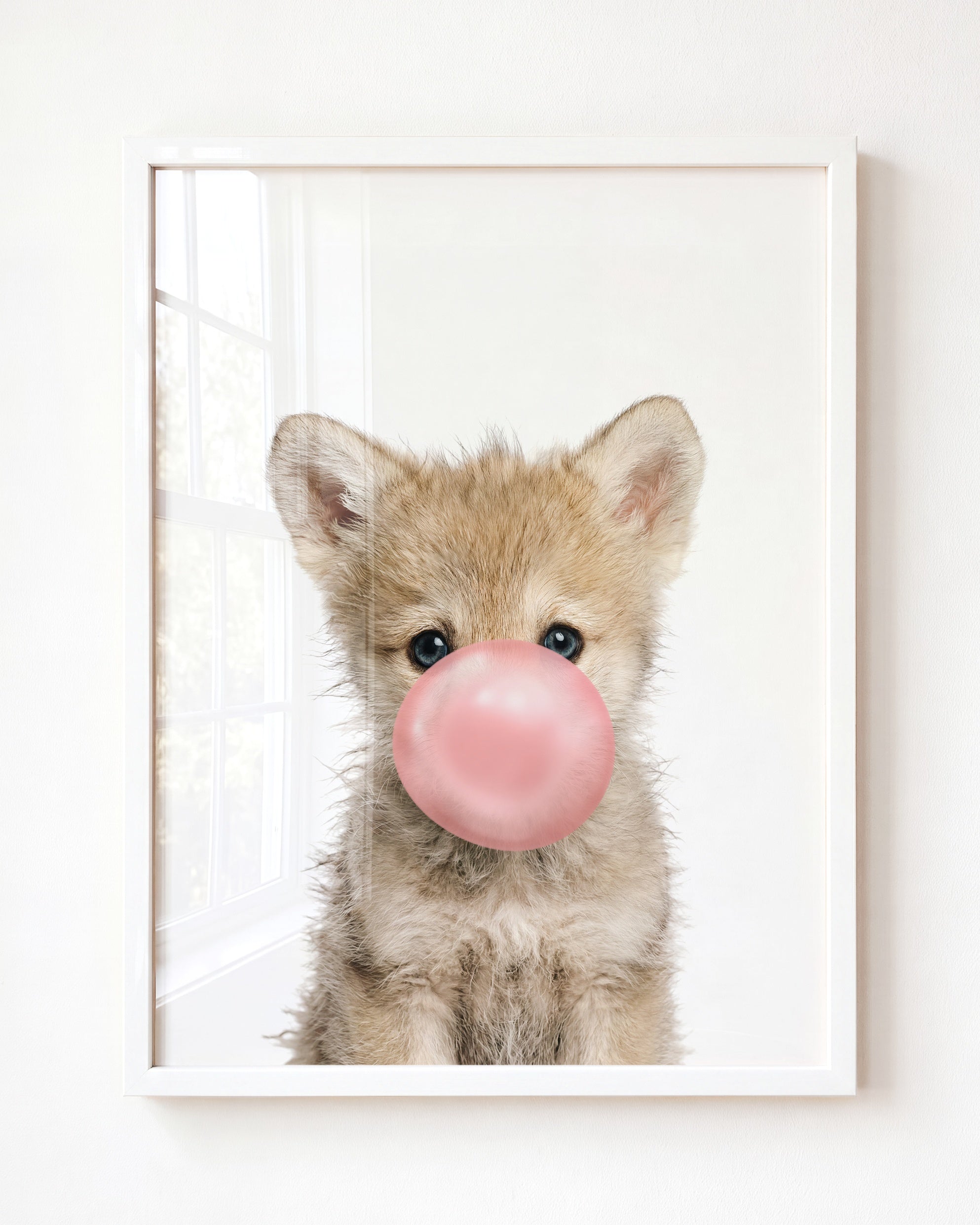 Baby Wolf