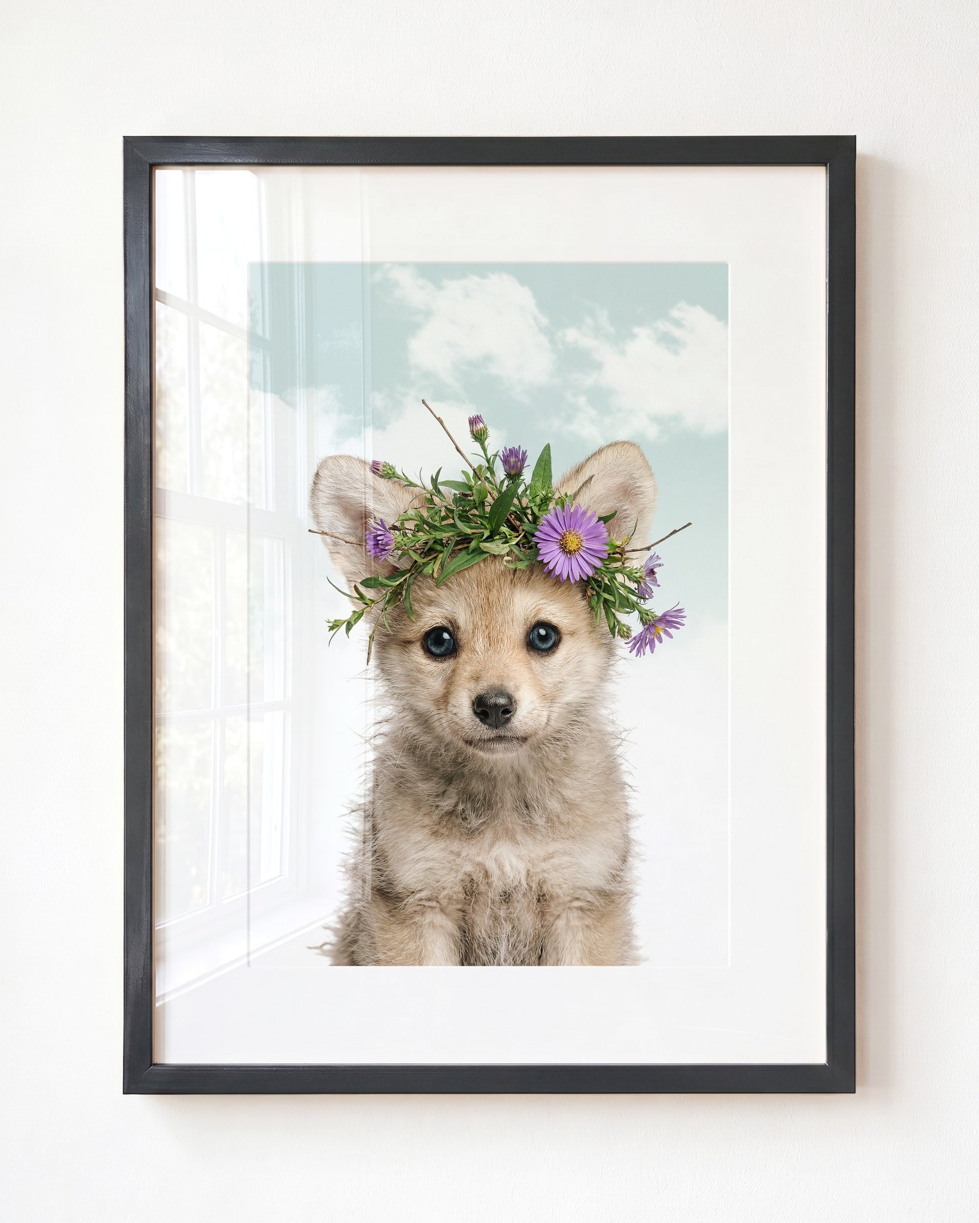 Baby Wolf