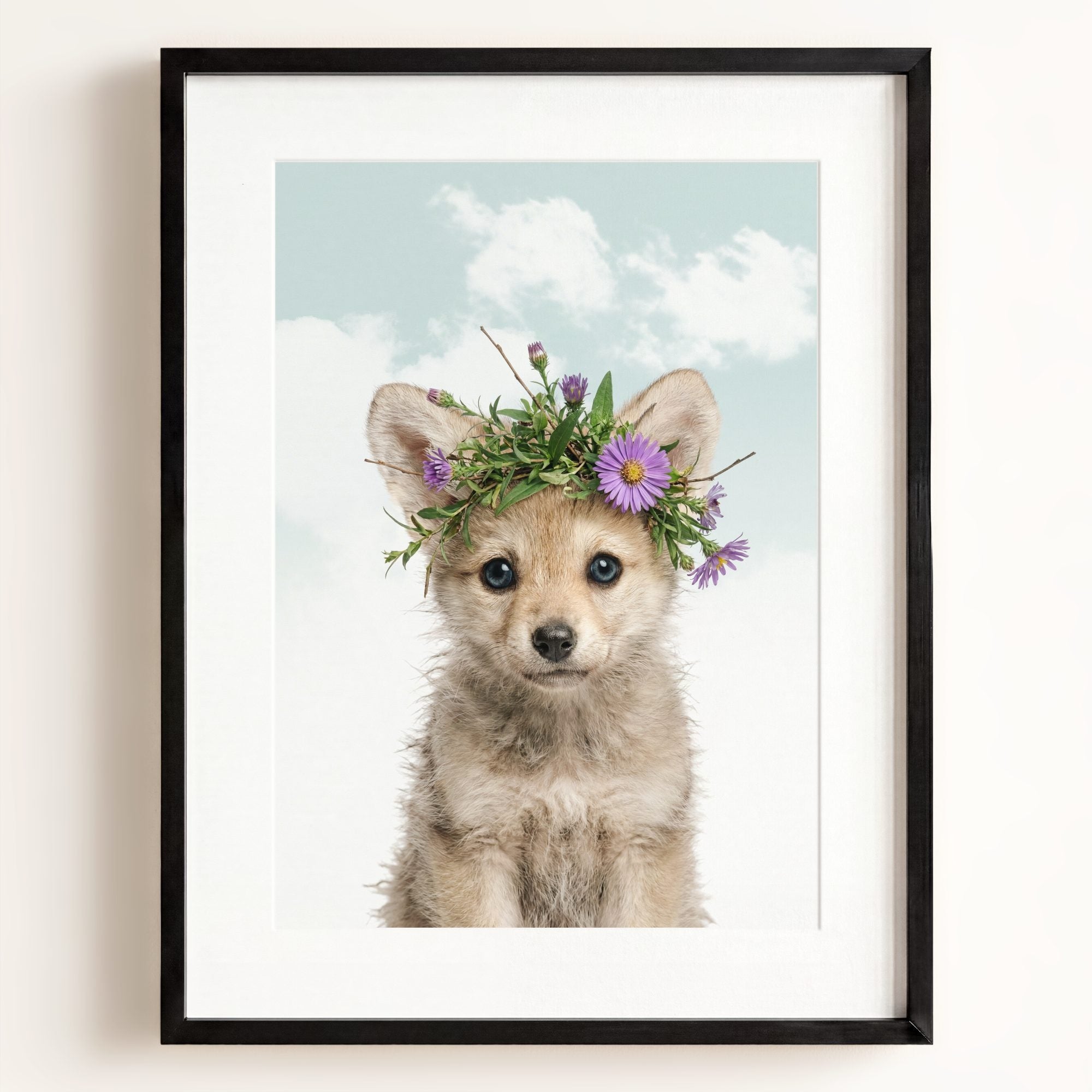 Baby Wolf